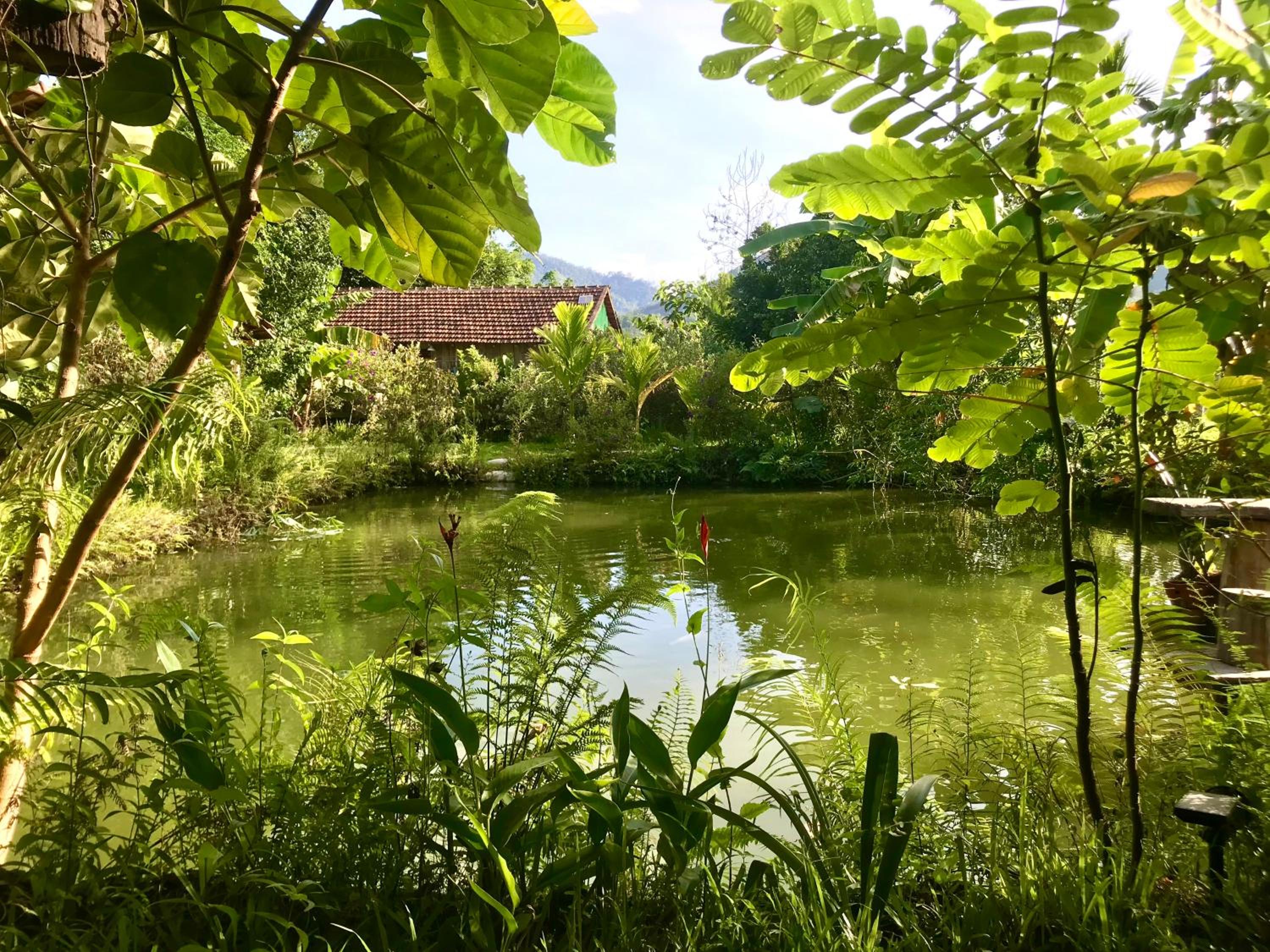 Dak Drinh Lodge view 3