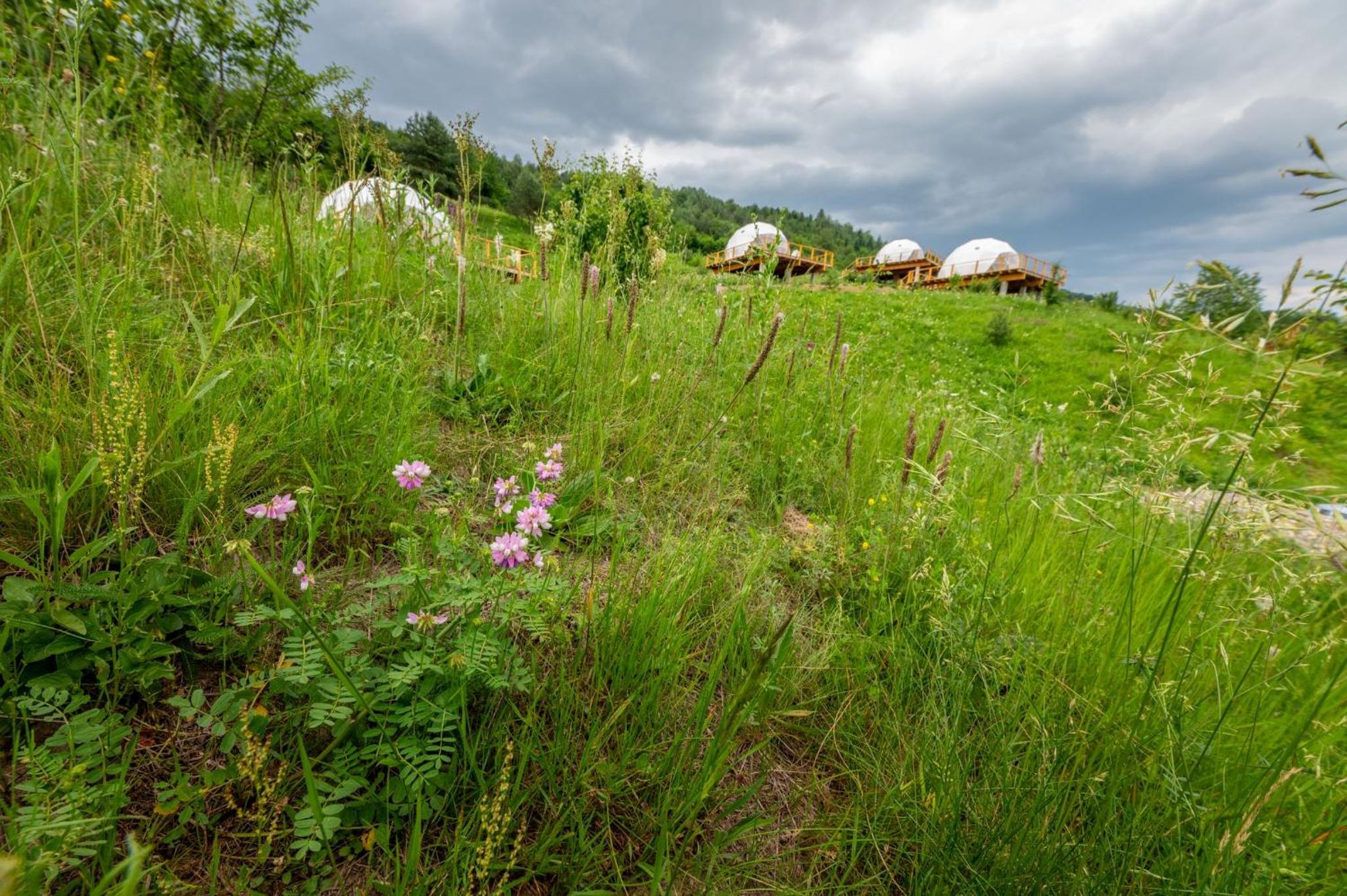 Zenzia Glamping Adult Only