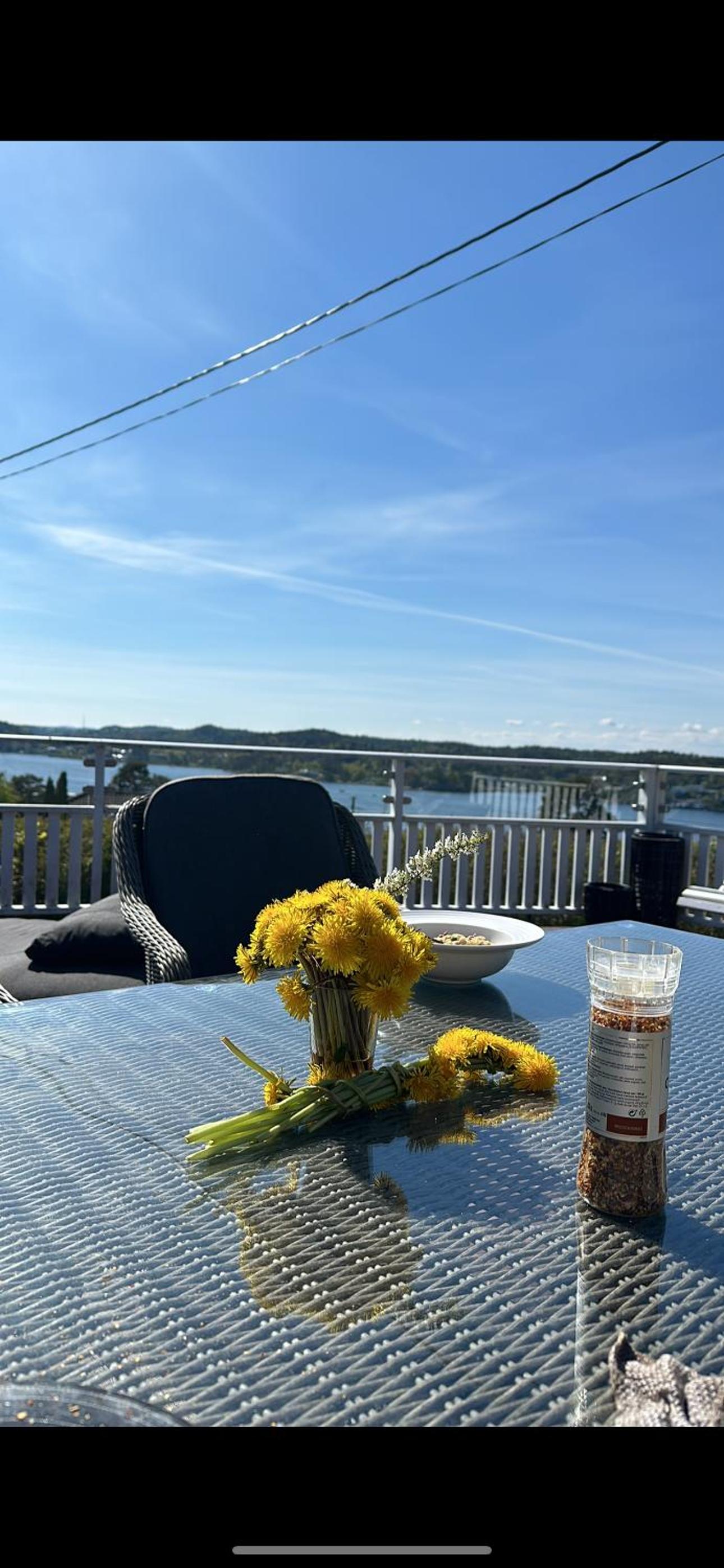 Flott sørlandshus ved sjøen leies ut view 4