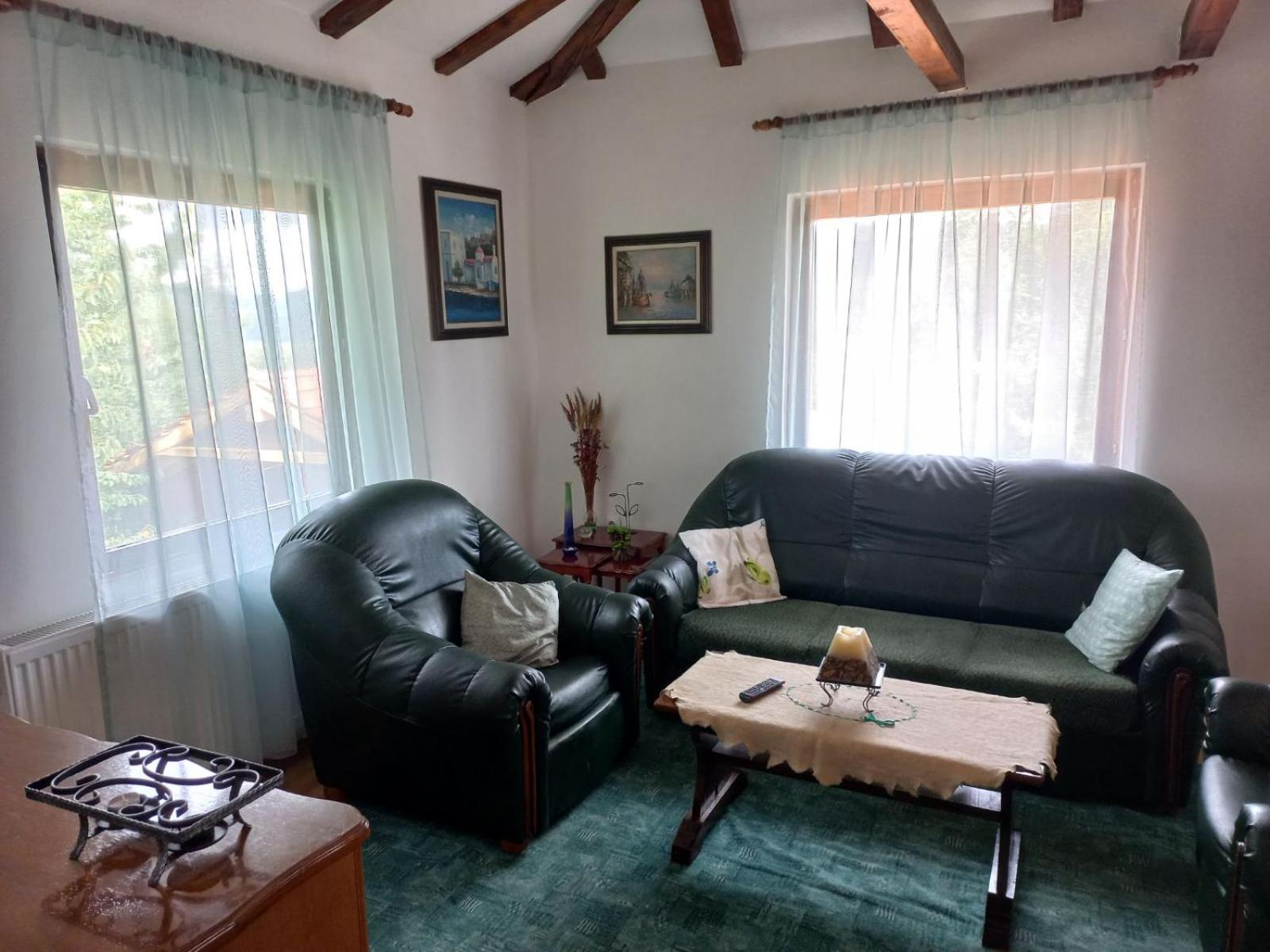 Zoja Apartman Vlasinsko Jezero