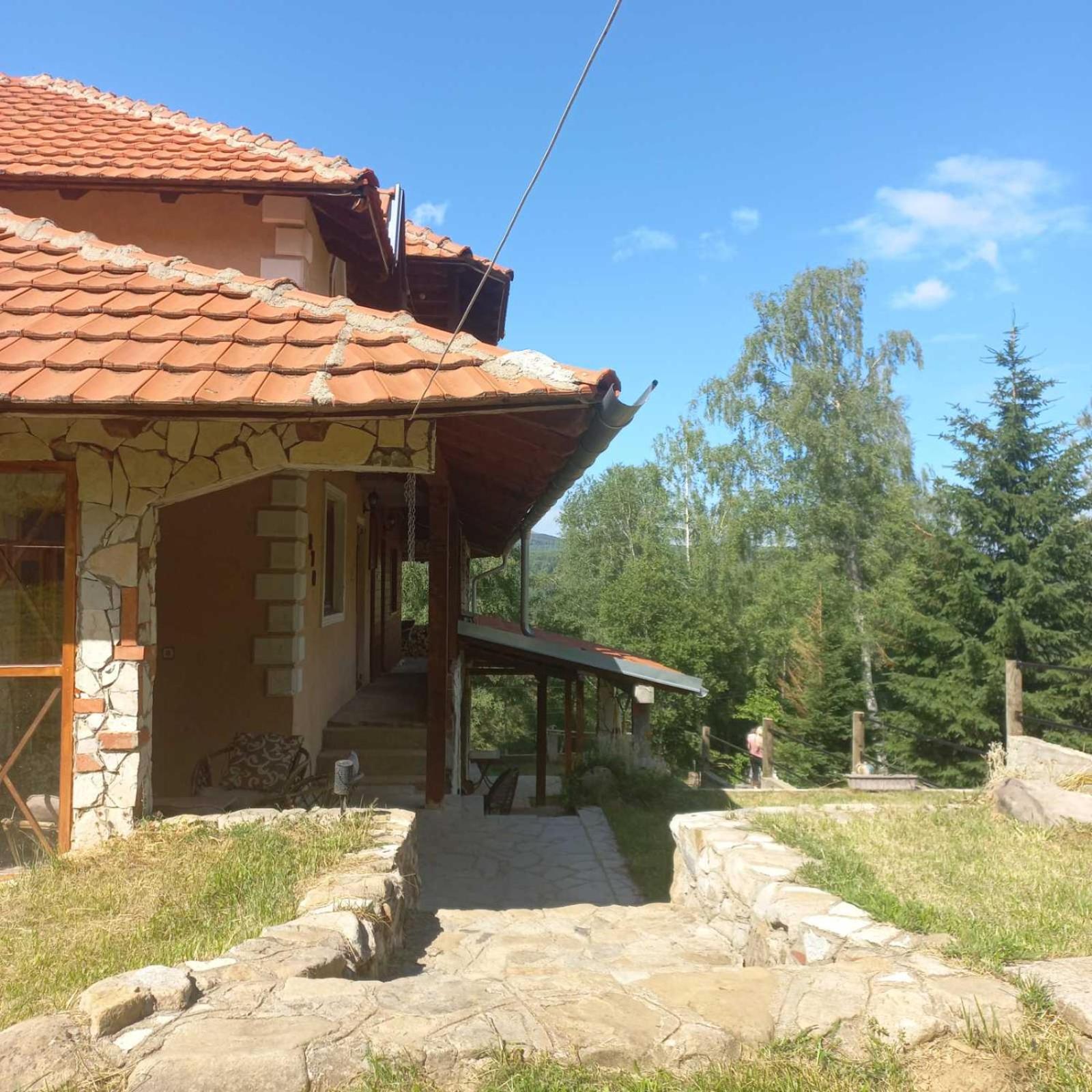 Zoja Apartman Vlasinsko Jezero