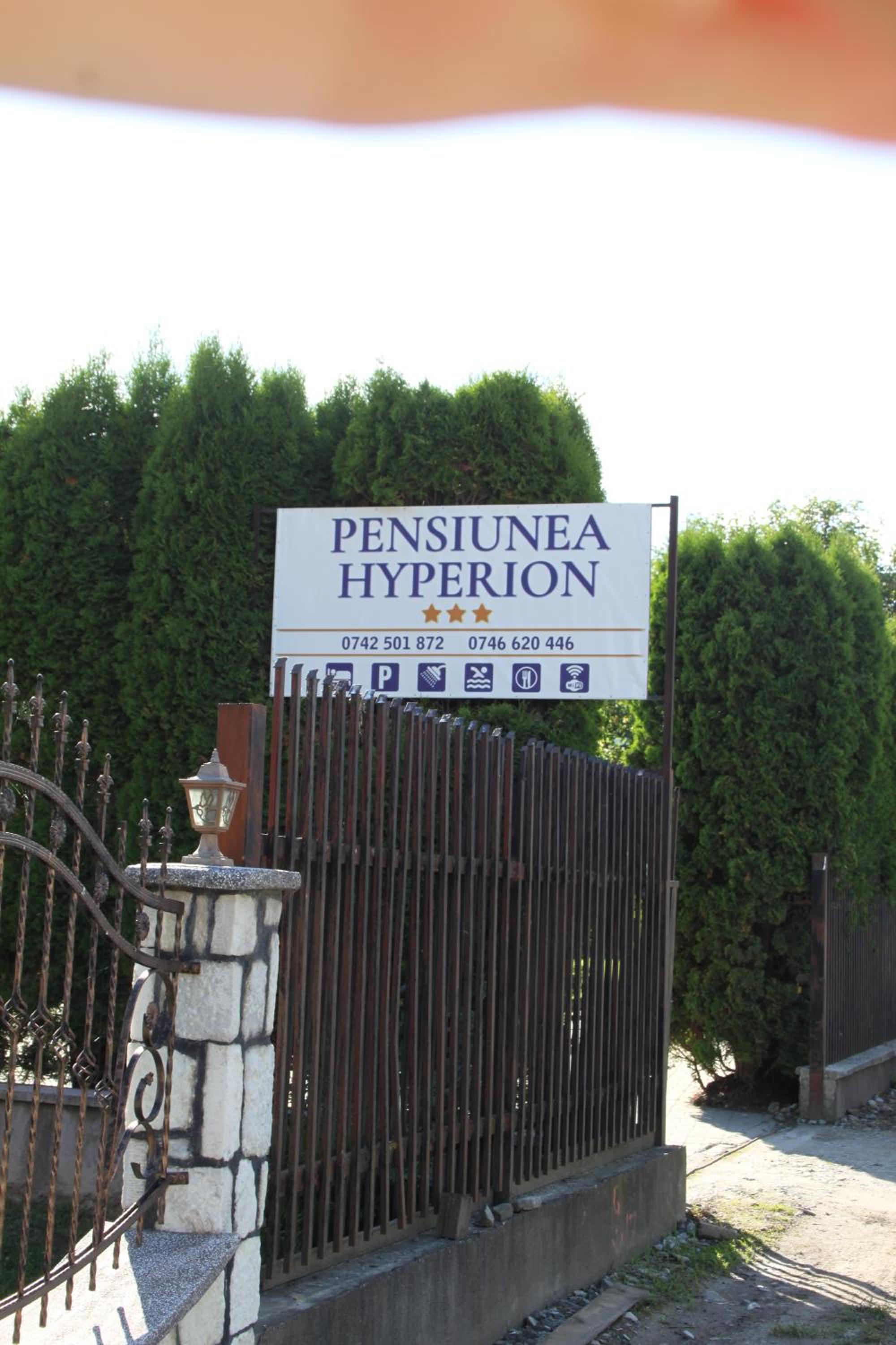 Photo 196