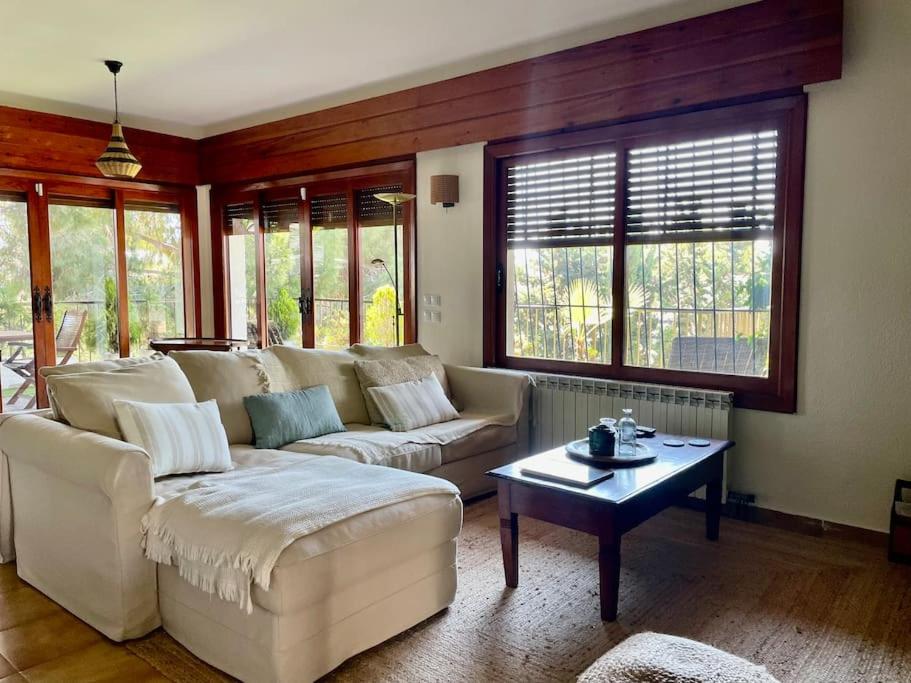 Photo 37