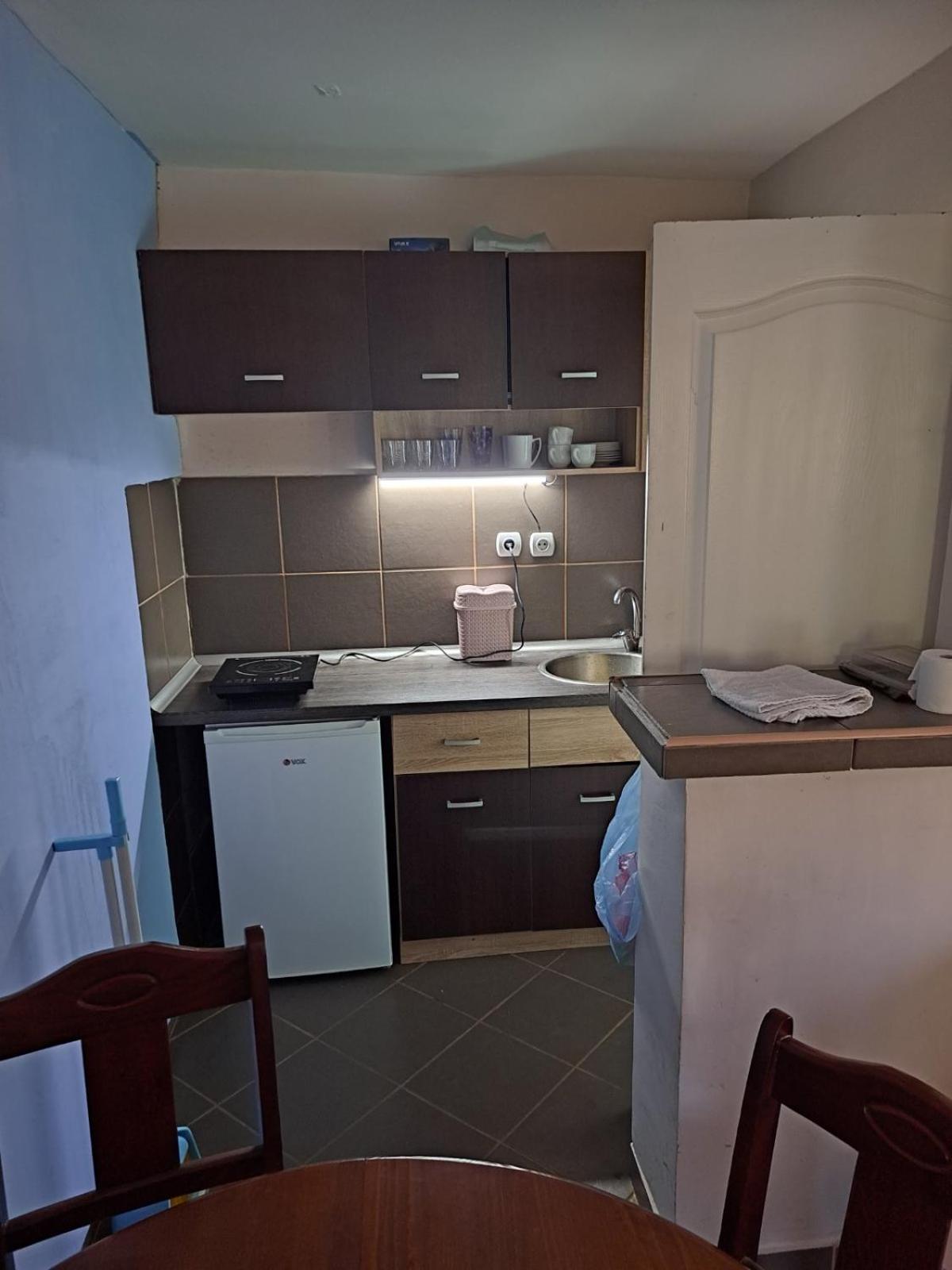 Zoja Apartman Vlasinsko Jezero