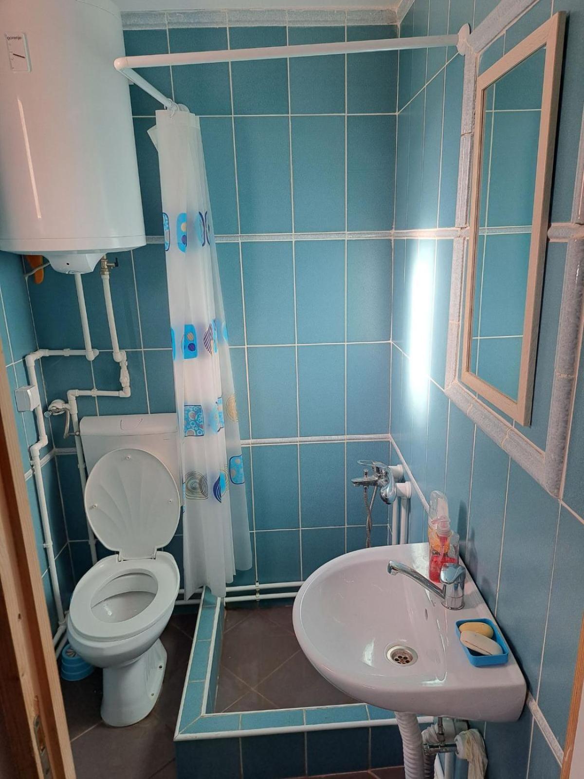 Zoja Apartman Vlasinsko Jezero