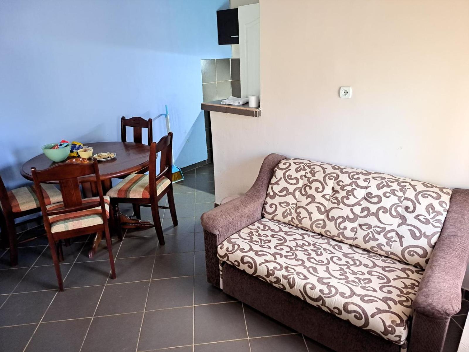 Zoja Apartman Vlasinsko Jezero