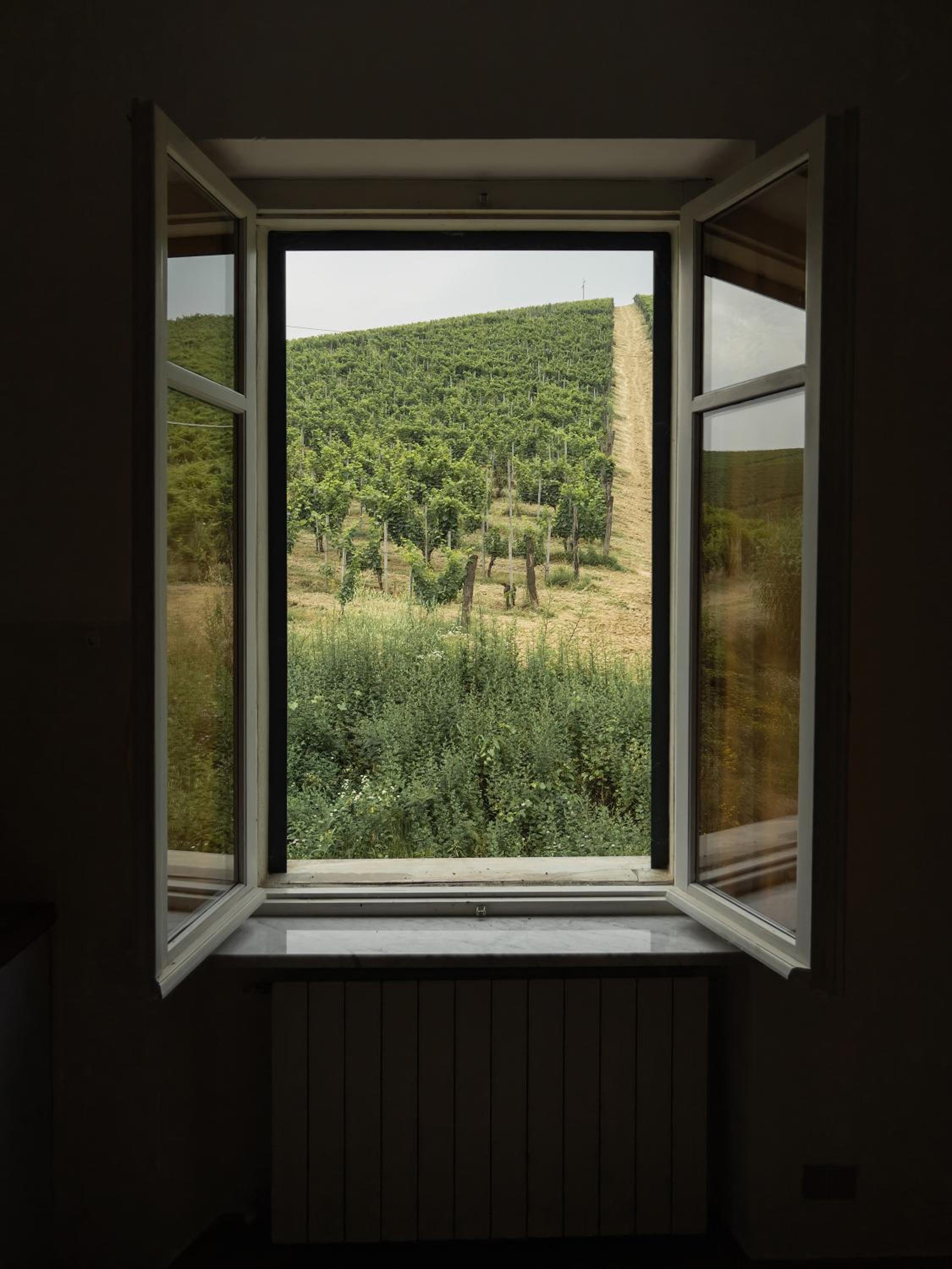 Azienda Oddone Prati Winery view 3