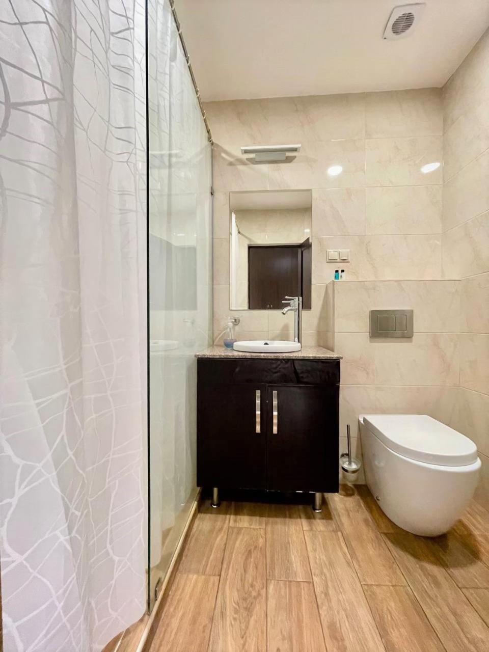 Charming Modern Apt, New Building ,Buzand Street