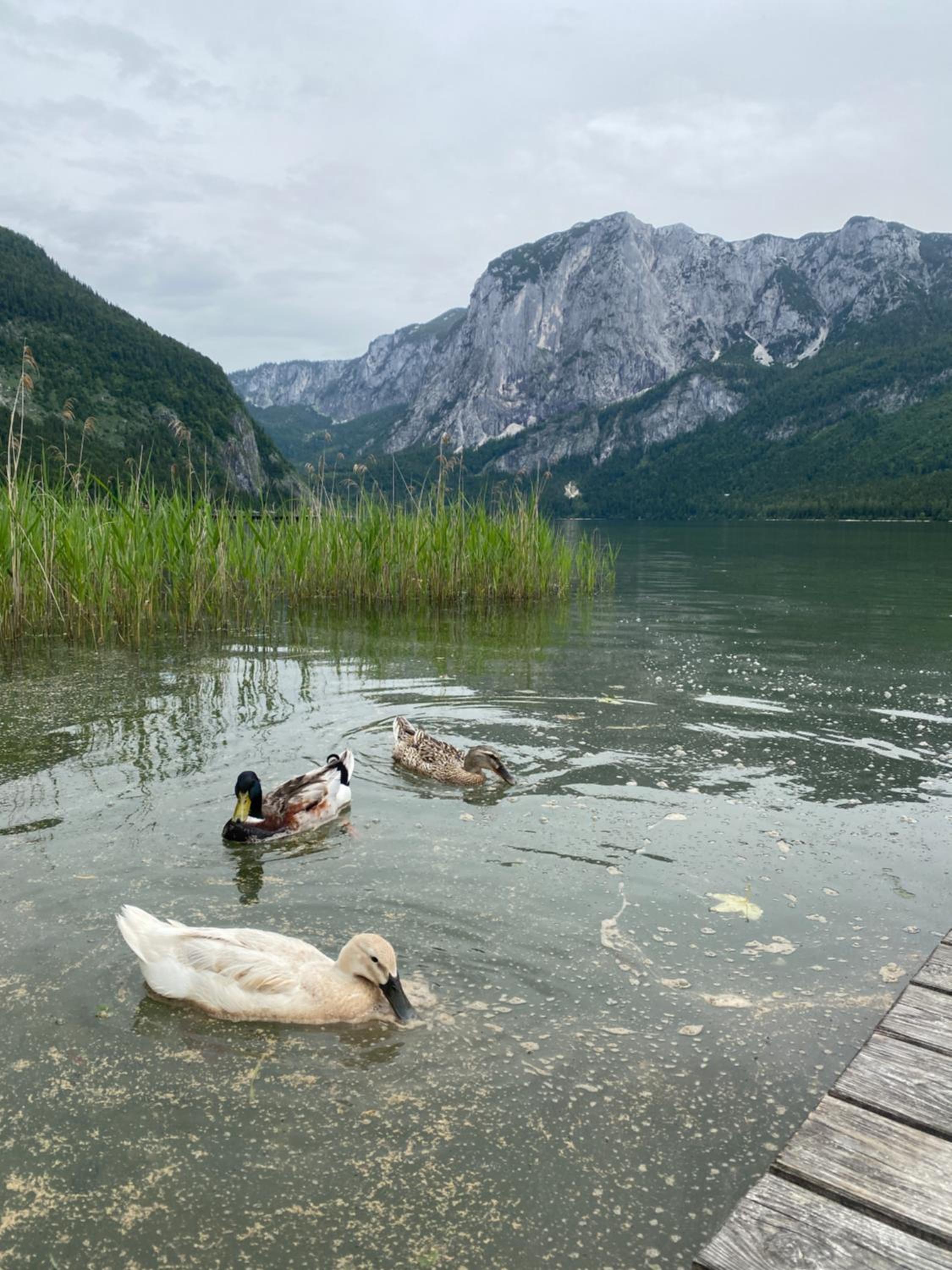 Haus Matteo - Familienurlaub beim Ödensee