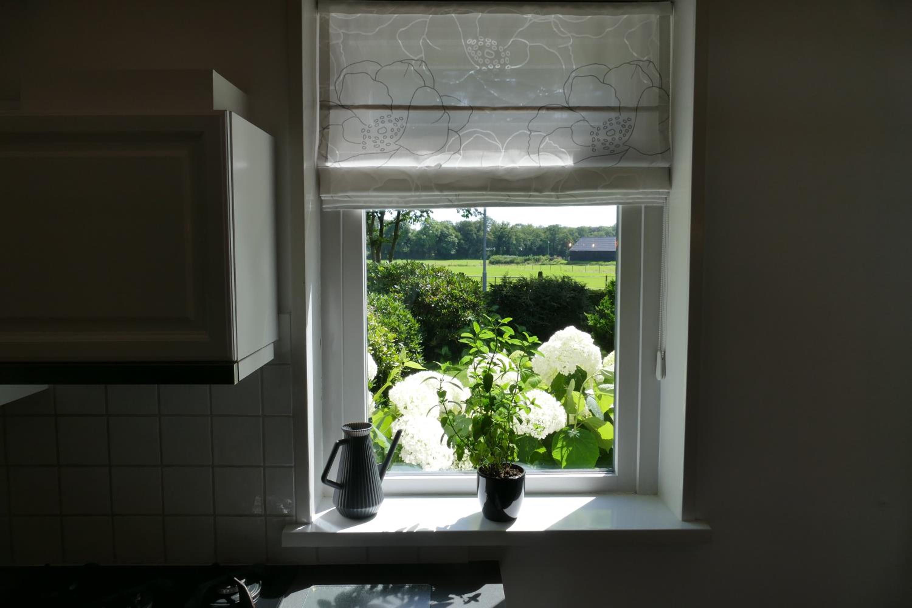 Vakantiewoning 't Stookhok Gasselte view 5