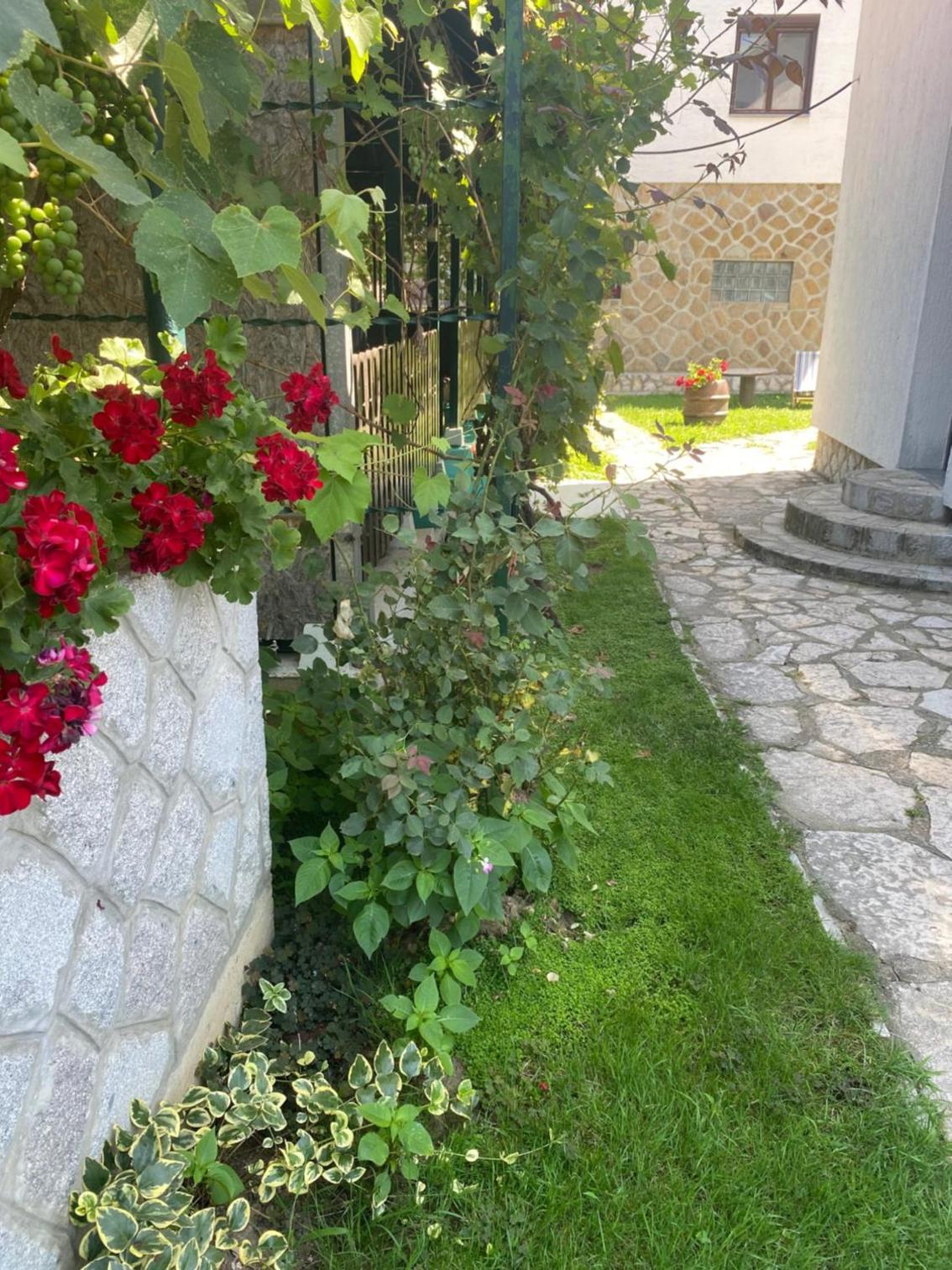 Photo 31