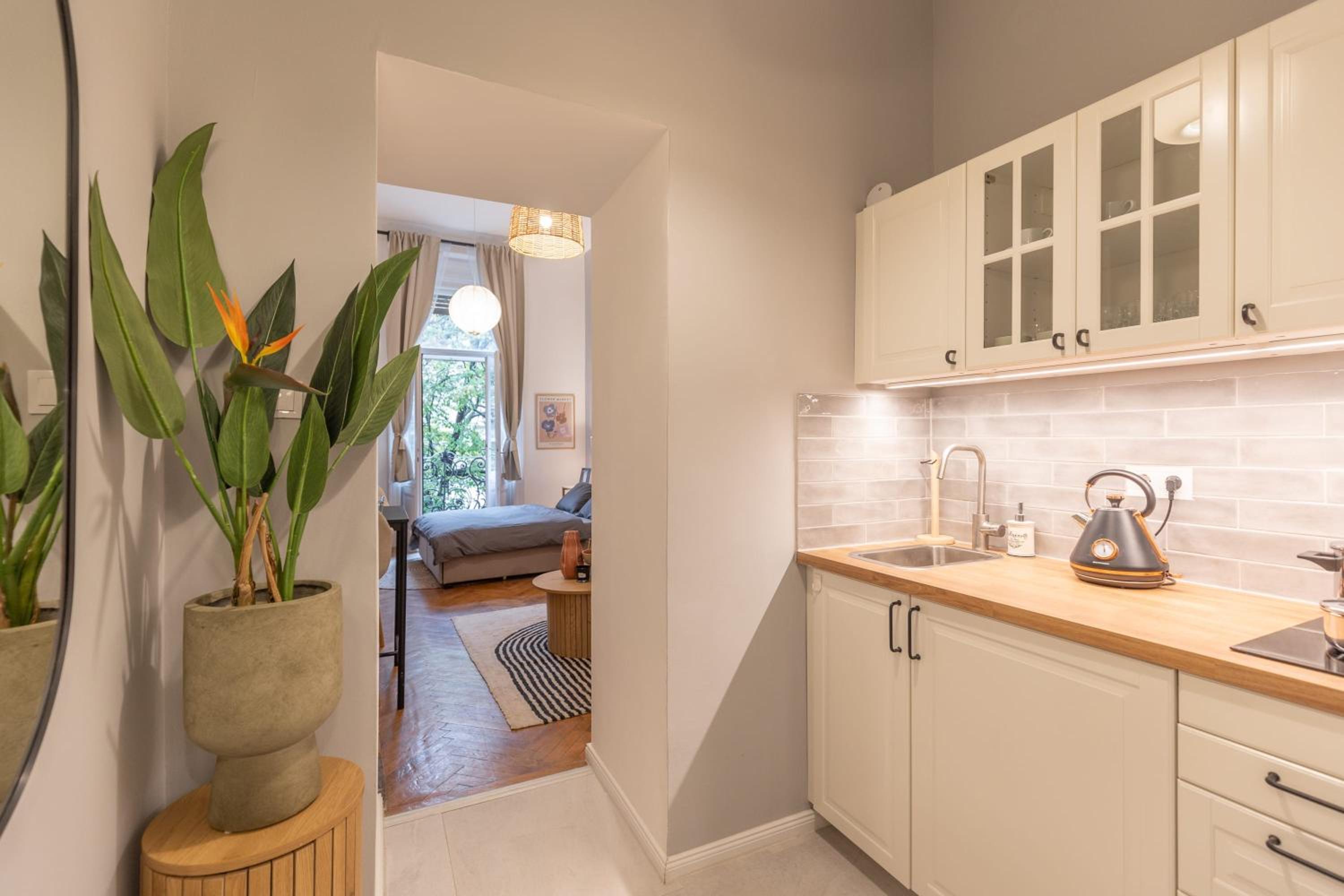 Central Designer Apartments
