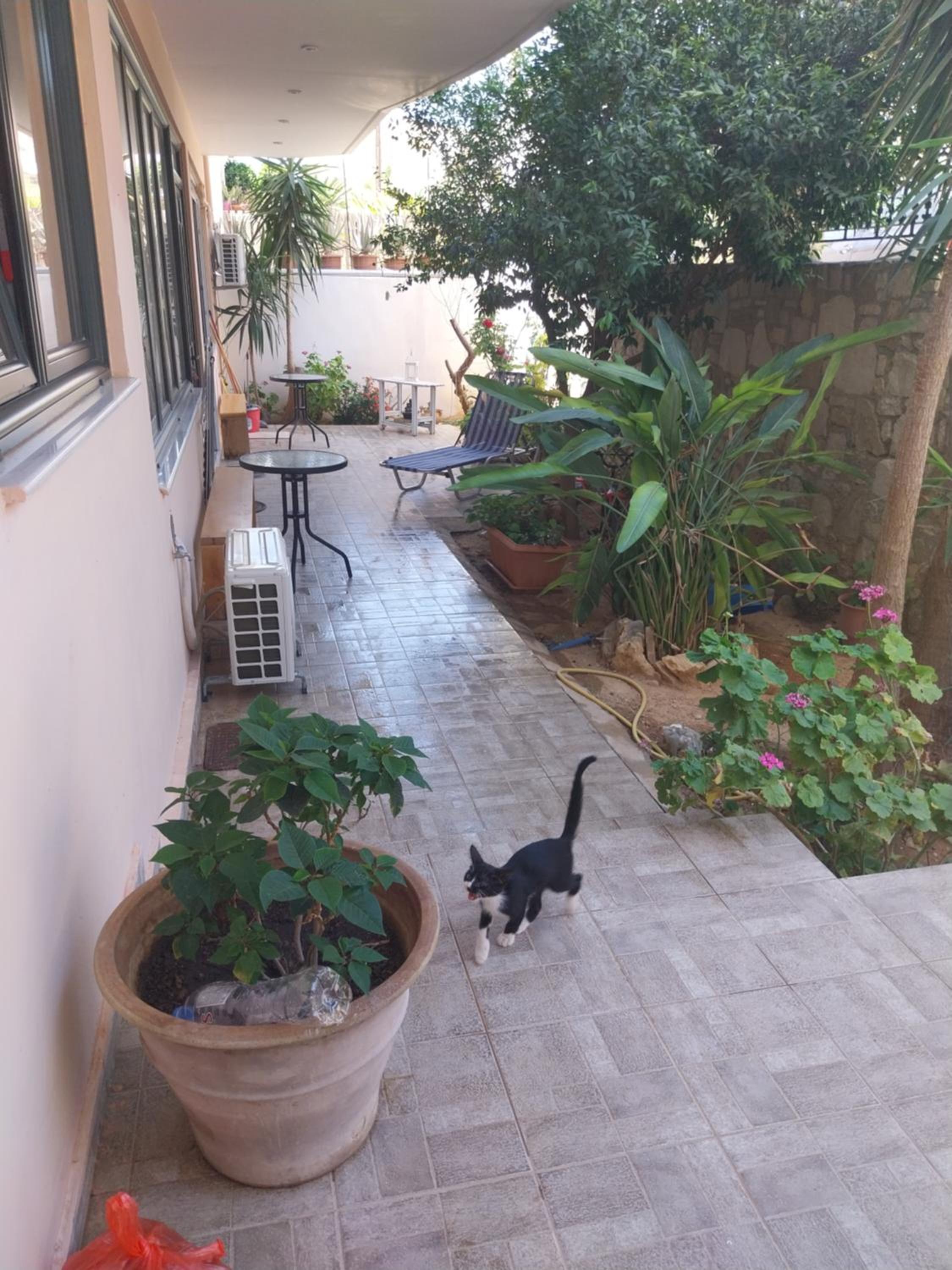 Folia Apartment en Ierápetra