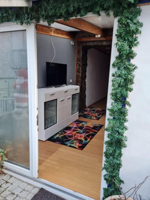 Große Wohnung in KO-Pfaffendorf nahe dem Rhein
