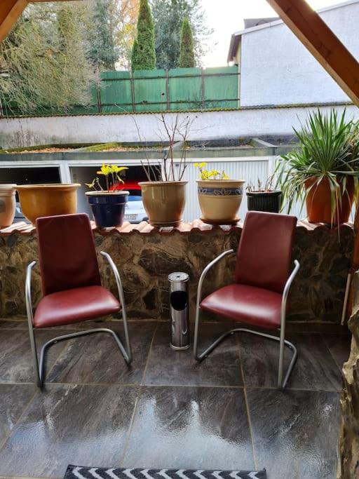 Große Wohnung in KO-Pfaffendorf nahe dem Rhein