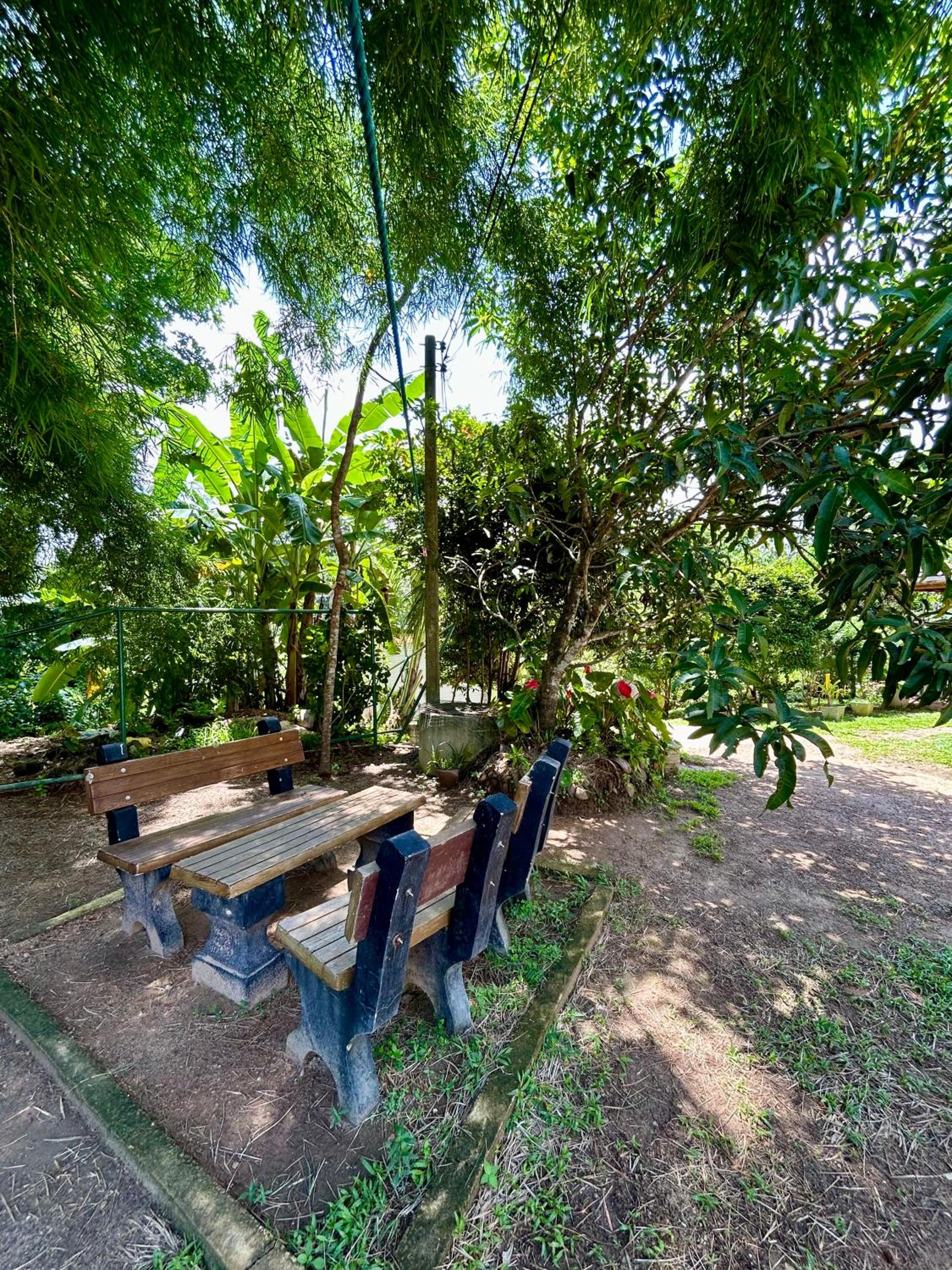 Shadow Homestay