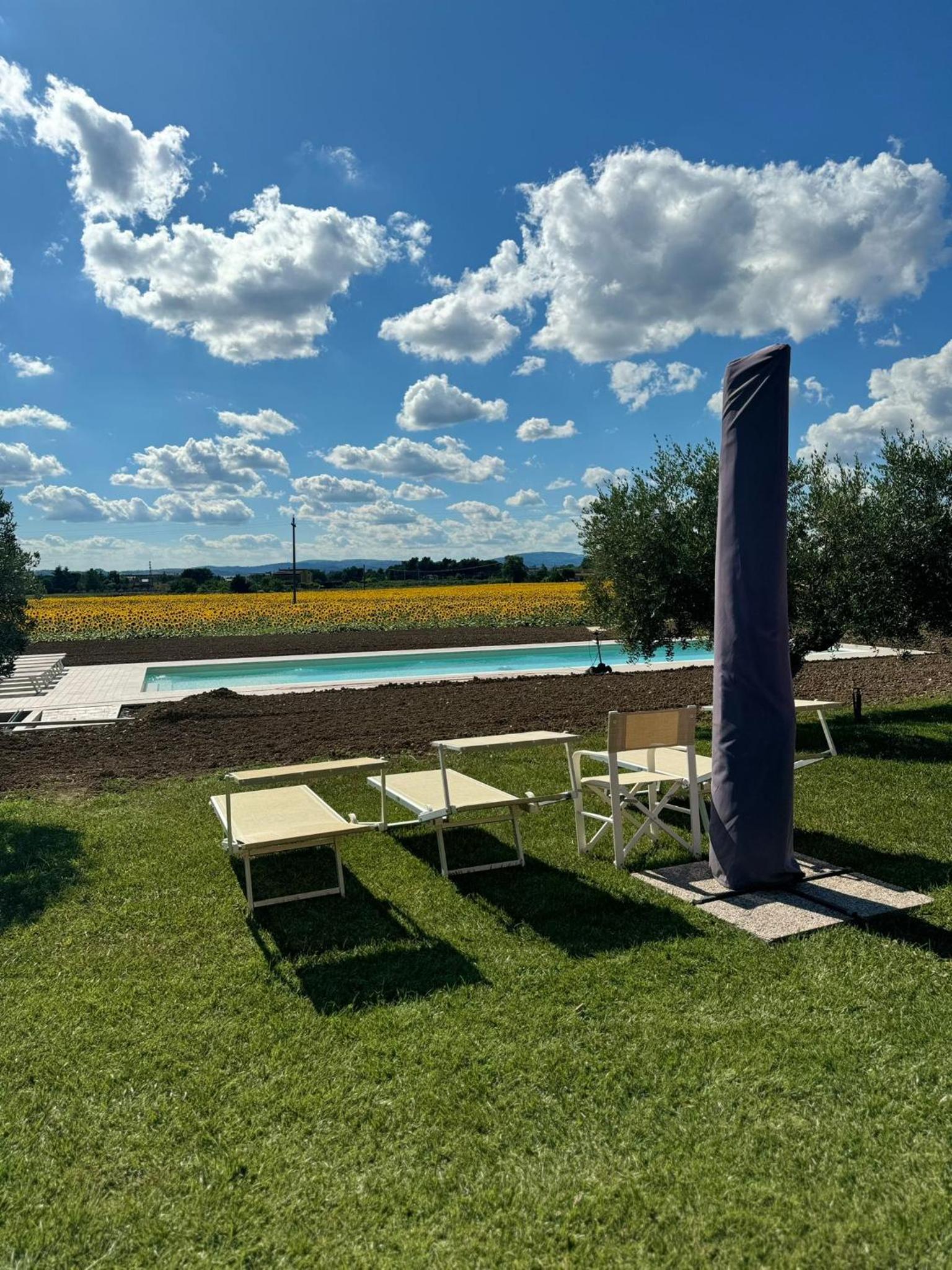 Assisium Agriturismo