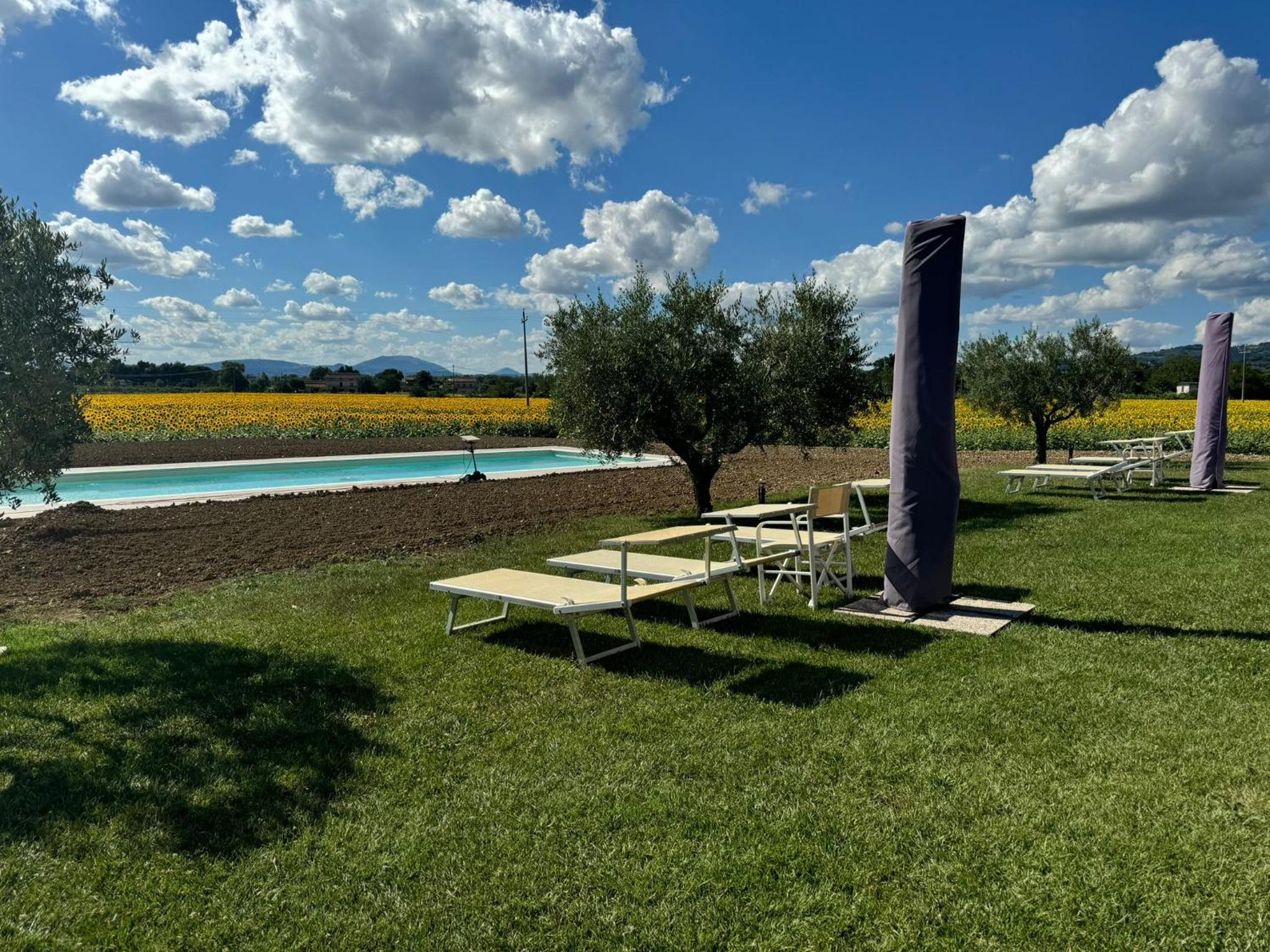 Assisium Agriturismo