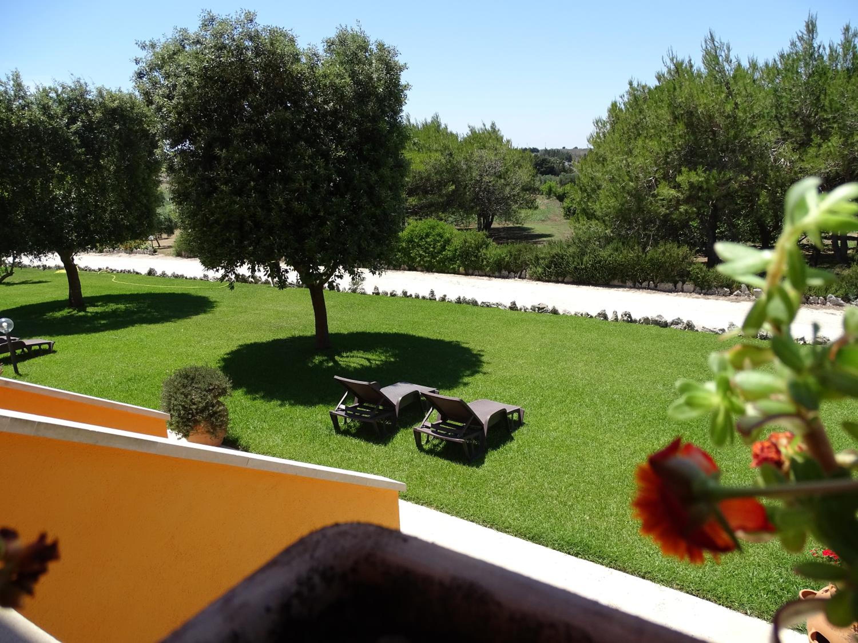 Sole del Mediterraneo photo 2