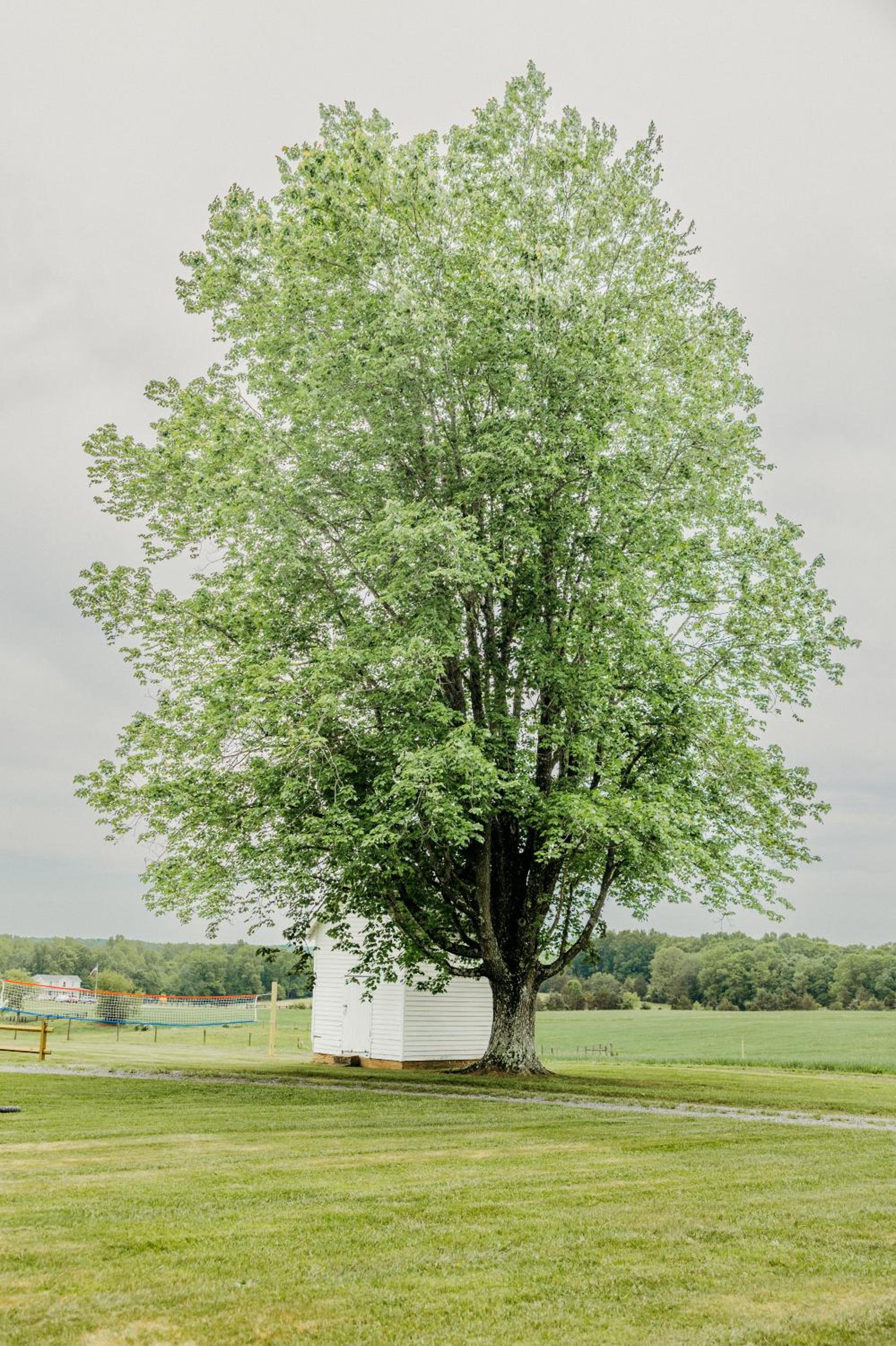 The Farmhouse At Oak Creek Farm view 4
