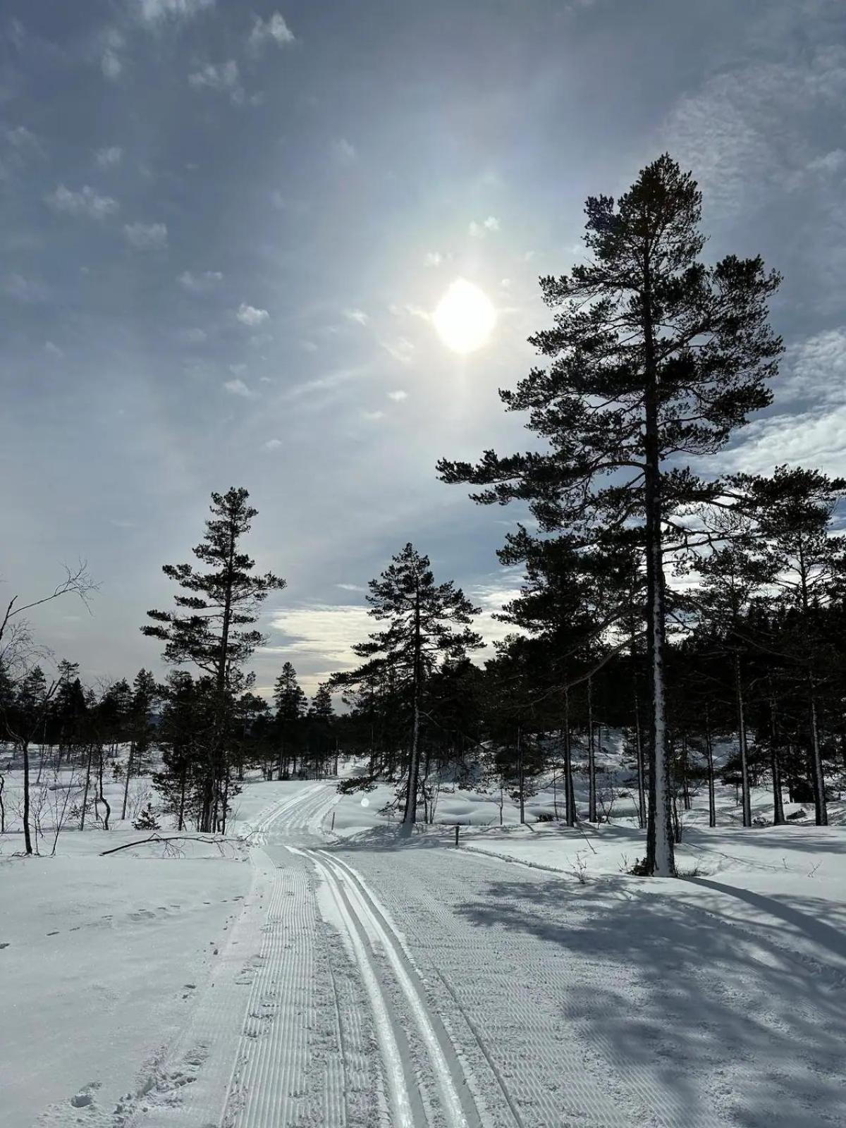 Bjønntjønn 221 view 4