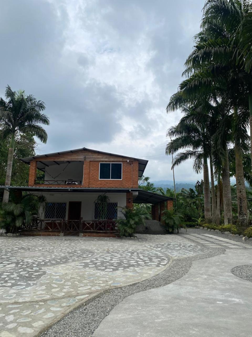 Palmerai BUCAY