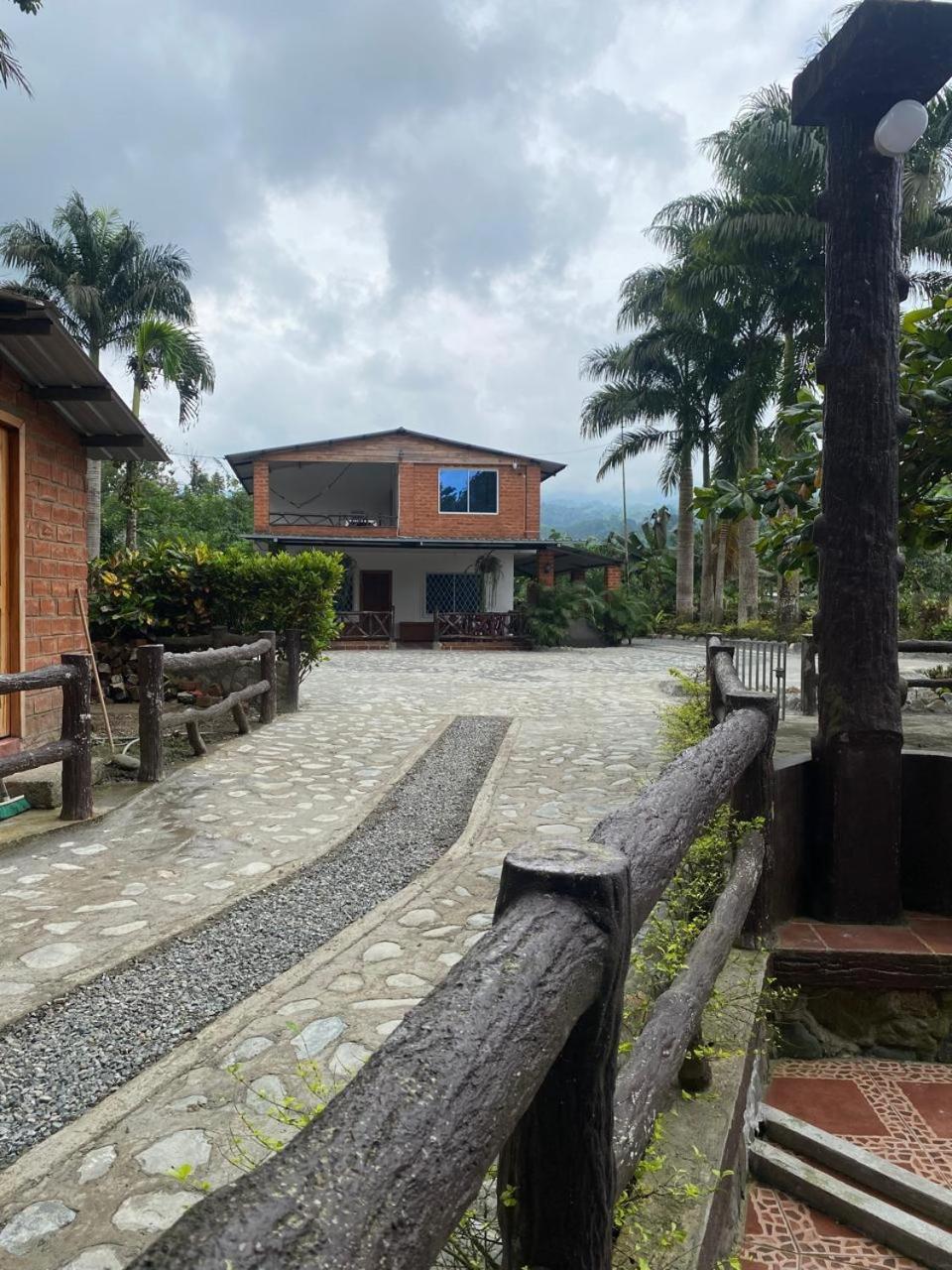 Palmerai BUCAY