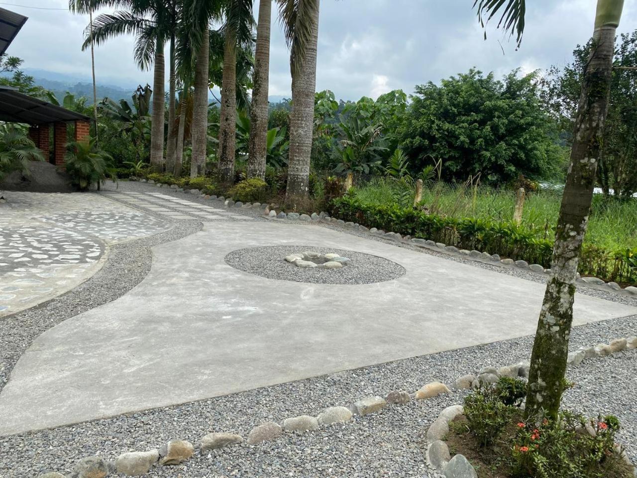 Palmerai BUCAY