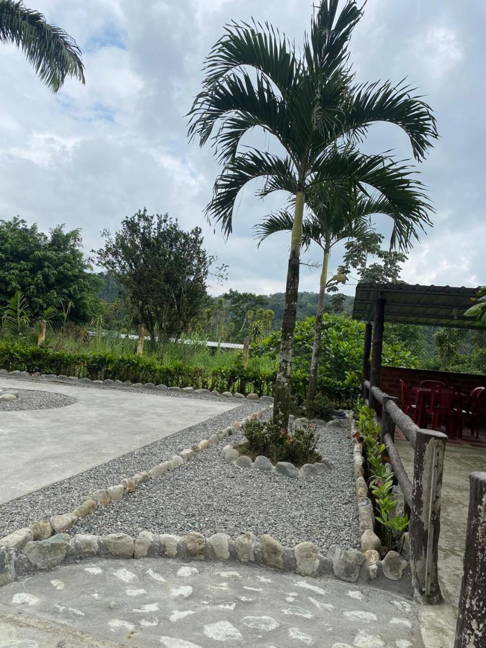 Palmerai BUCAY