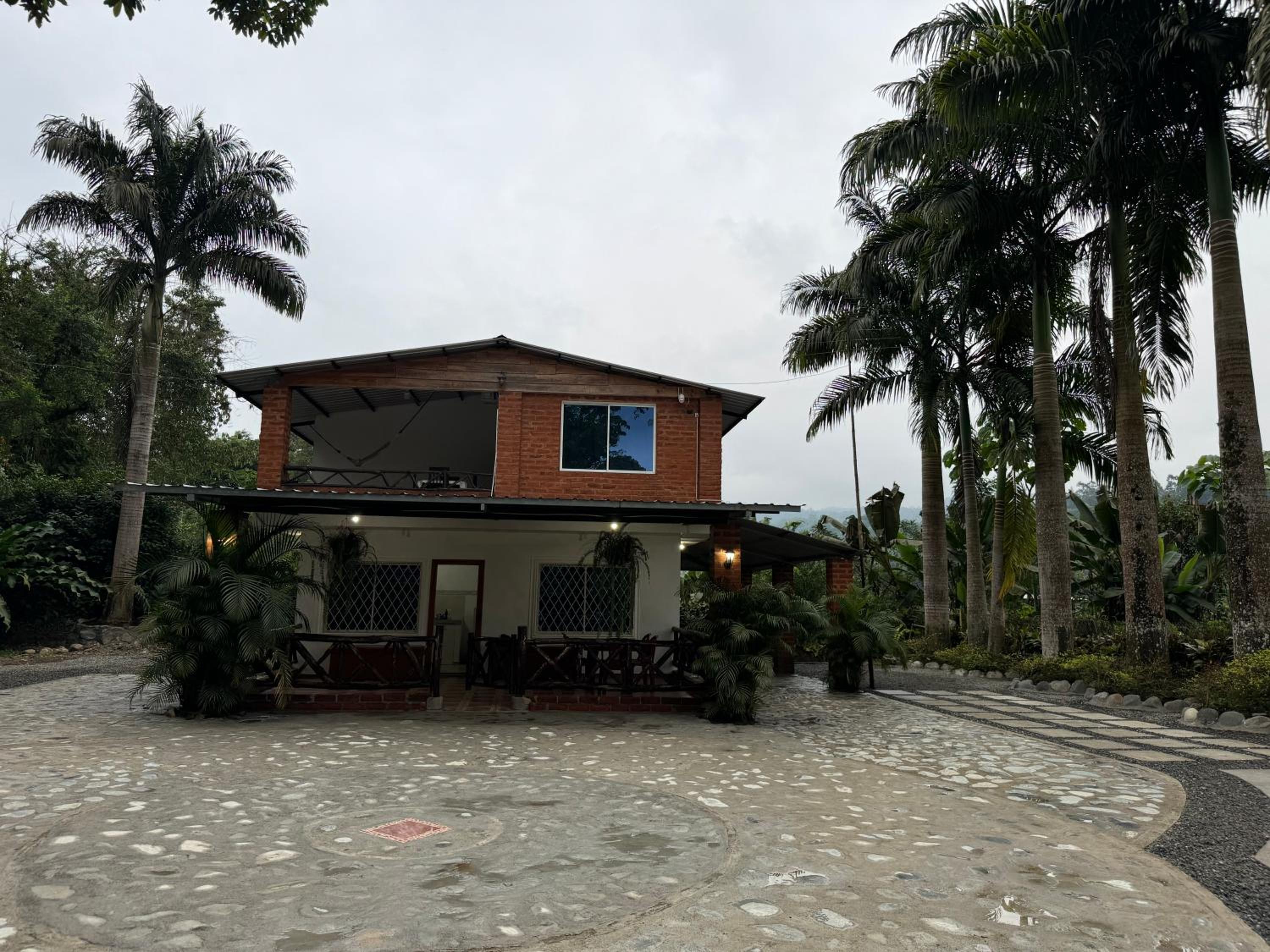 Palmerai BUCAY