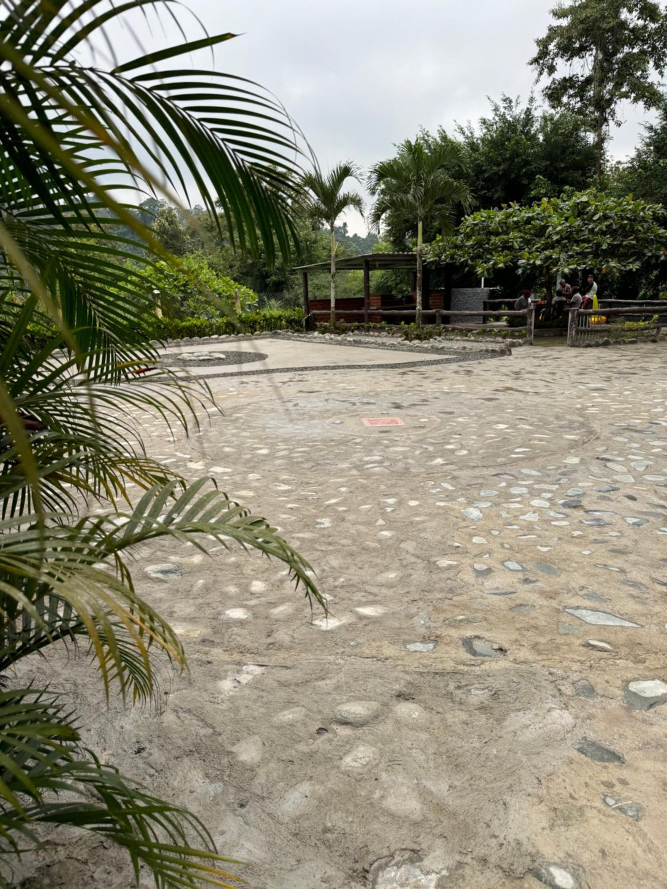 Palmerai BUCAY
