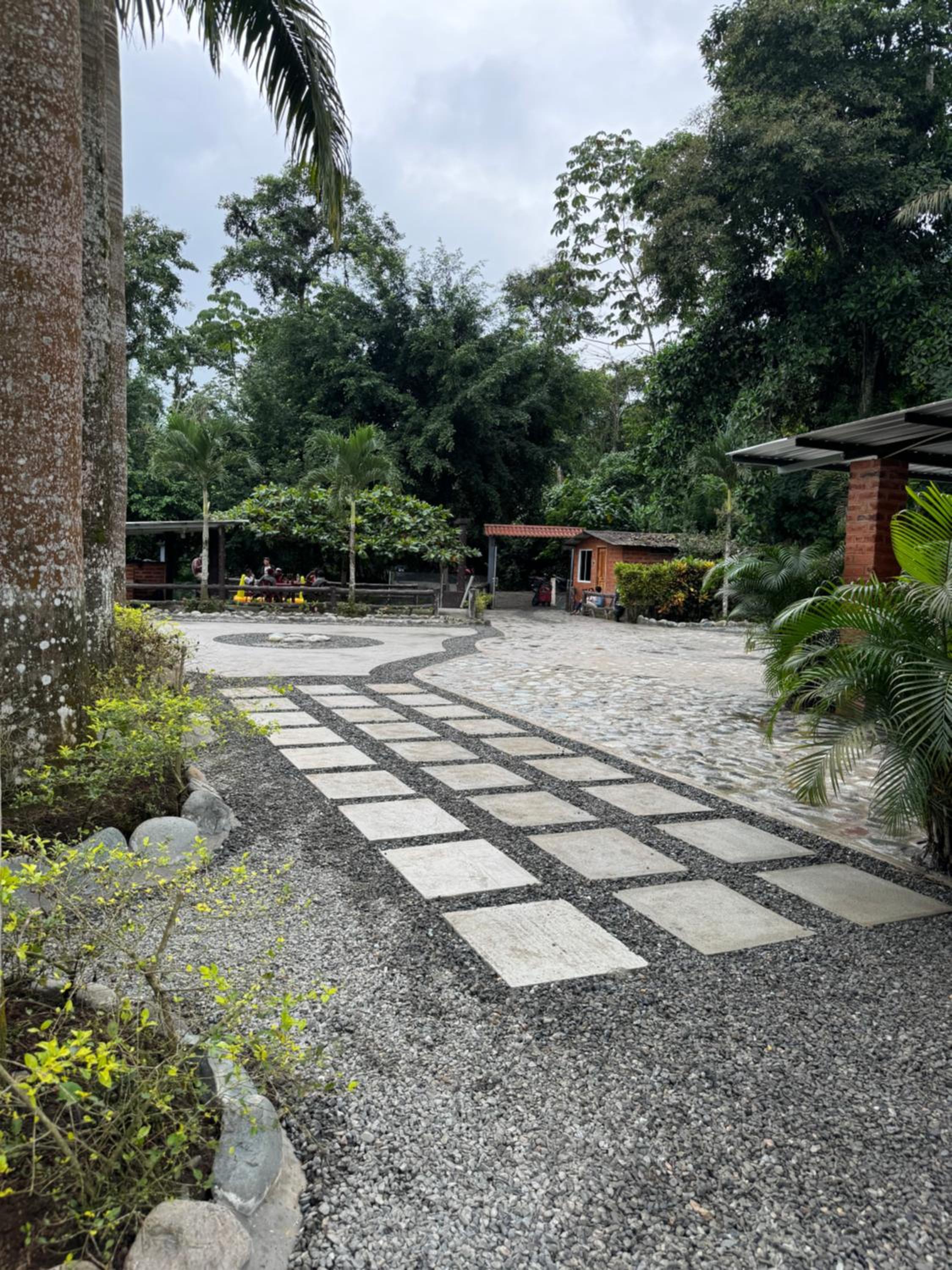 Palmerai BUCAY