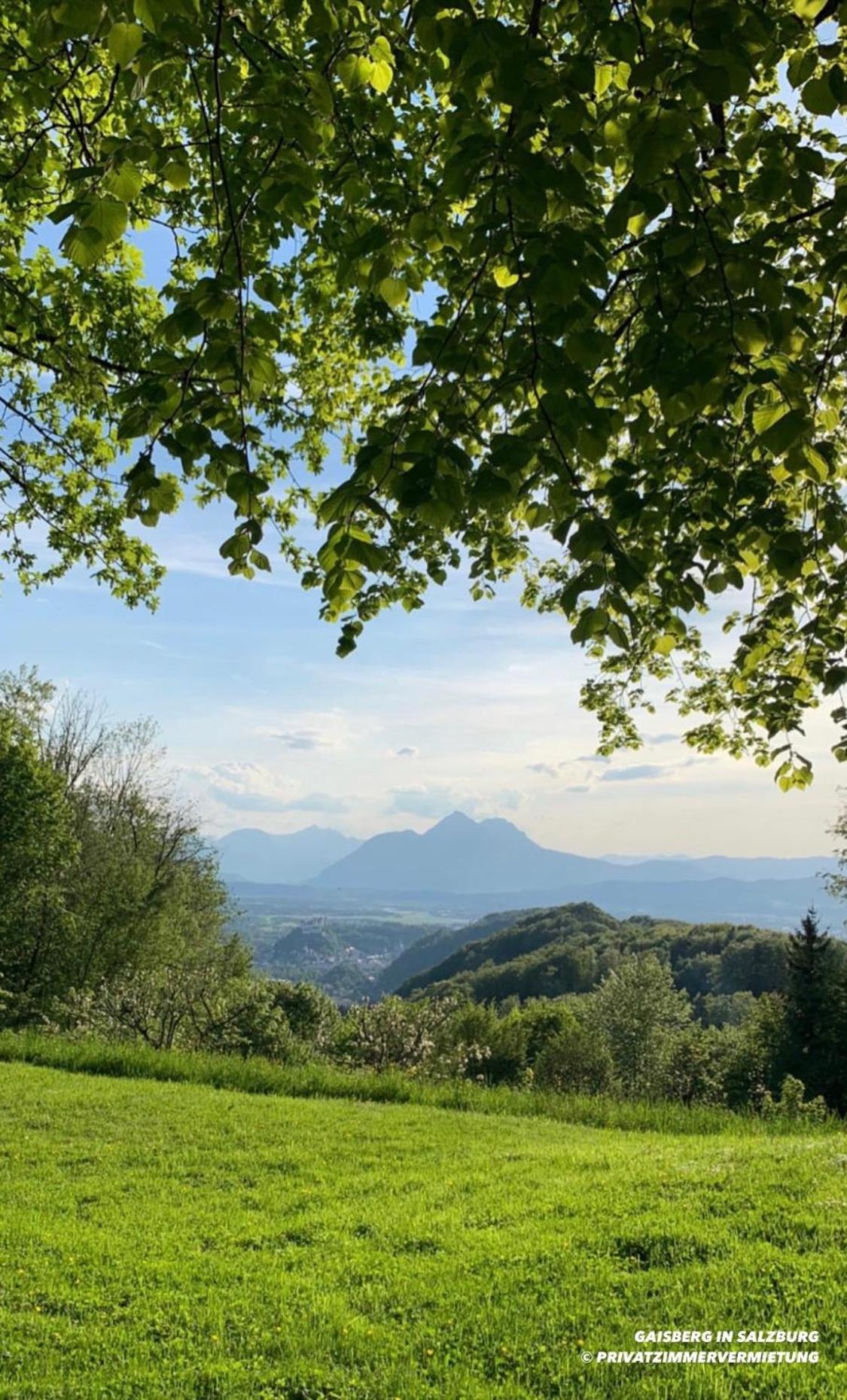 Salzburg Vacations - Privatzimmervermietung - Property Image 23