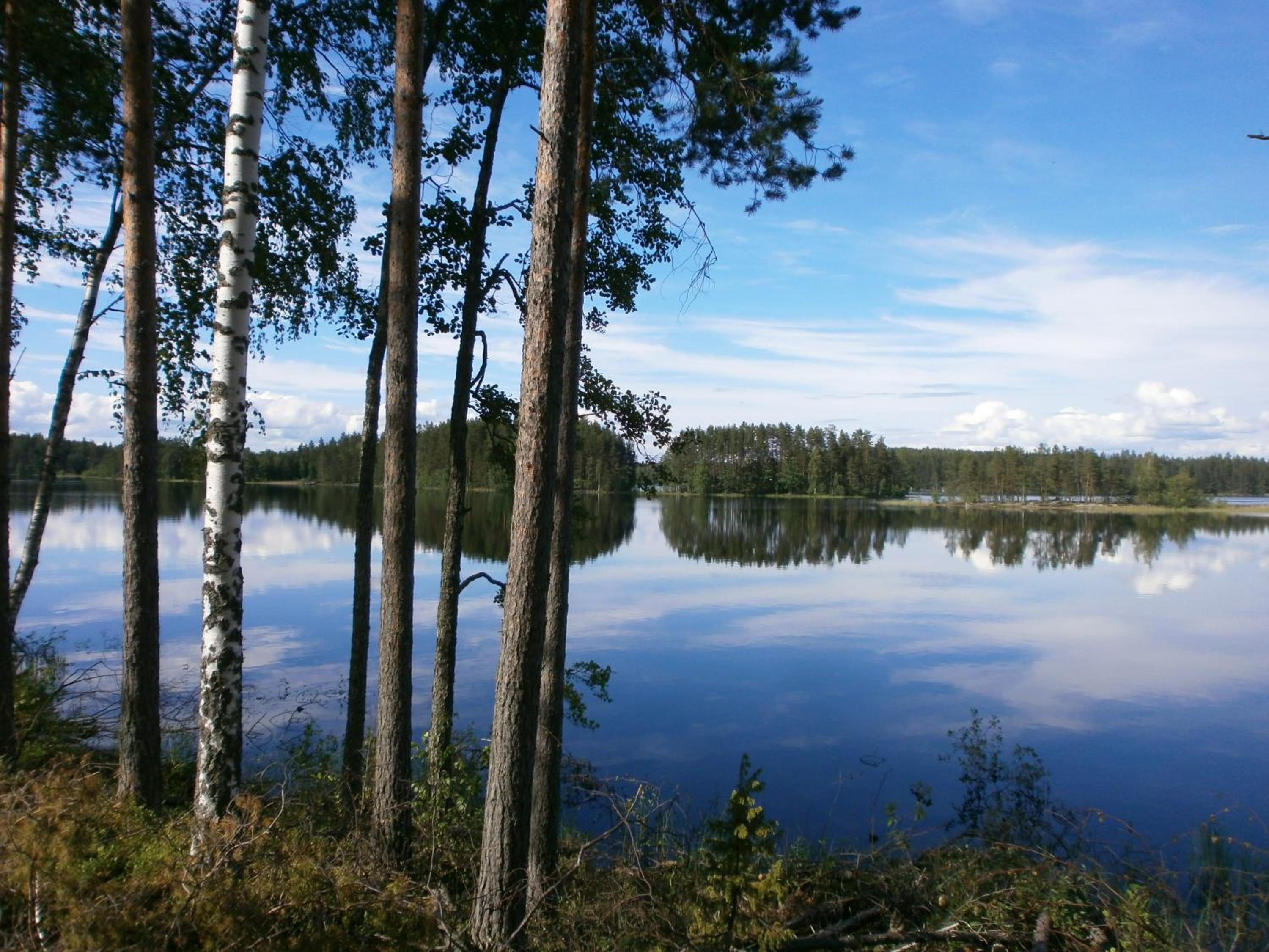 Photo 46