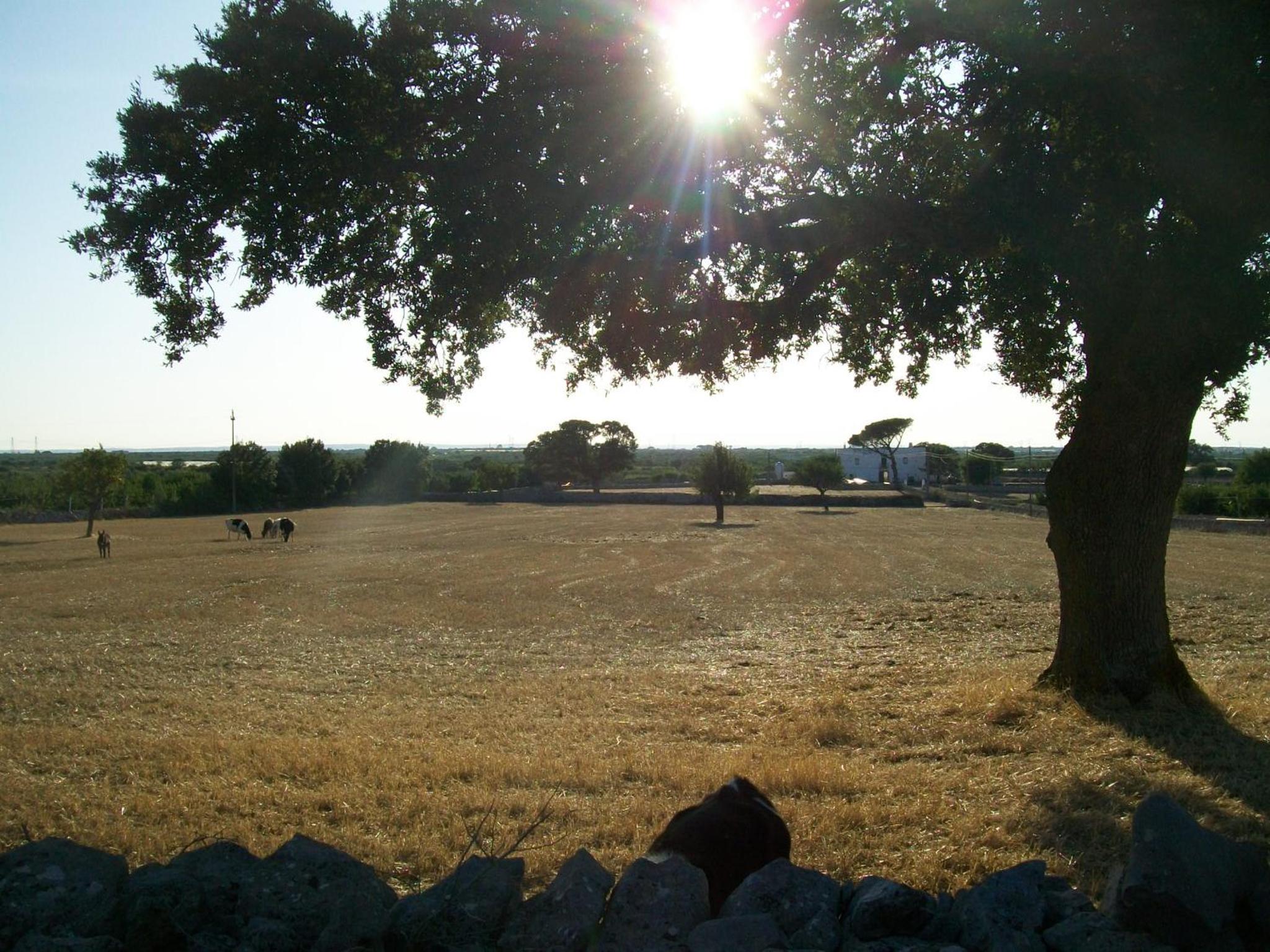 Photo 31
