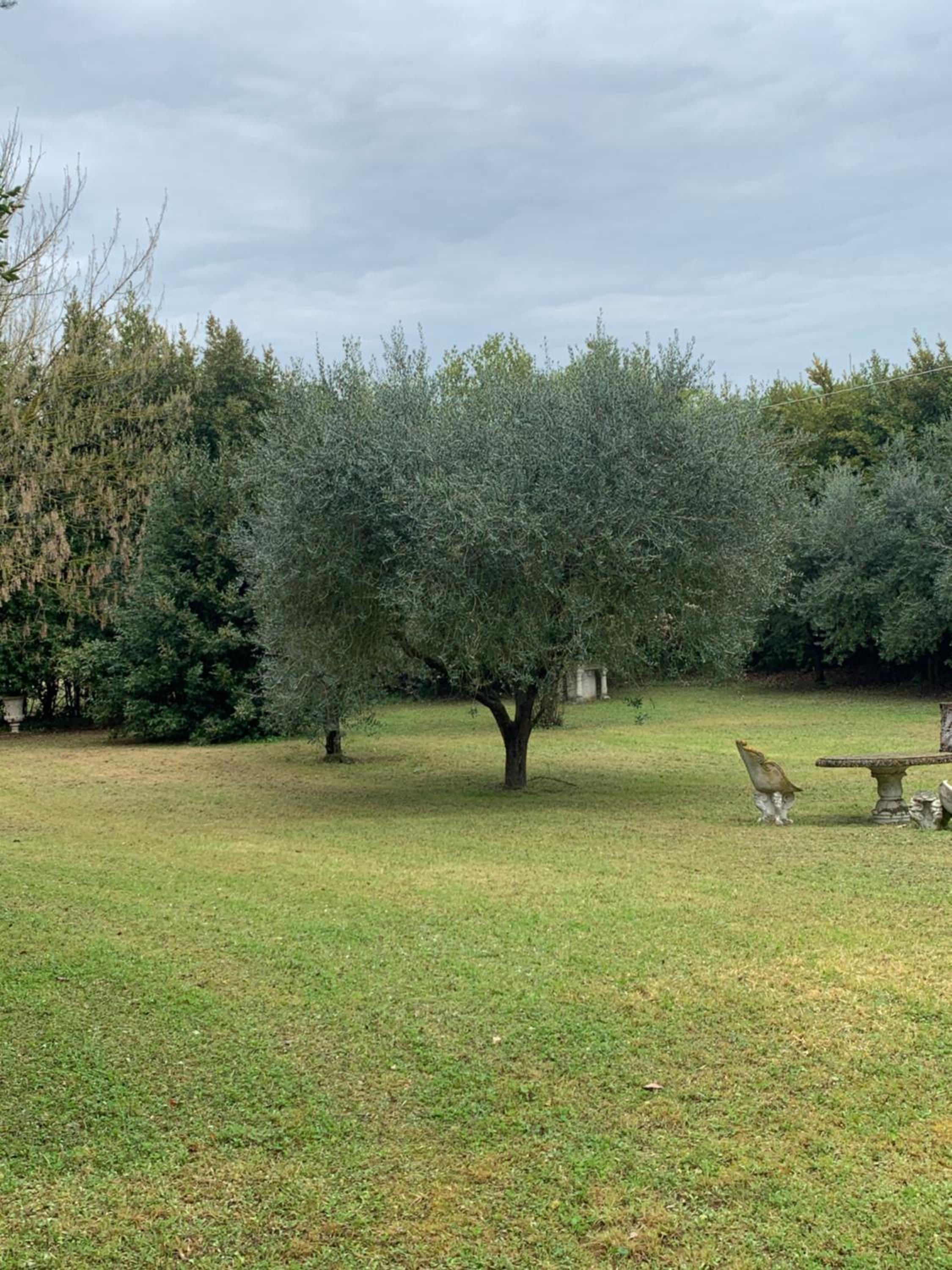 Villa San Pietro view 3