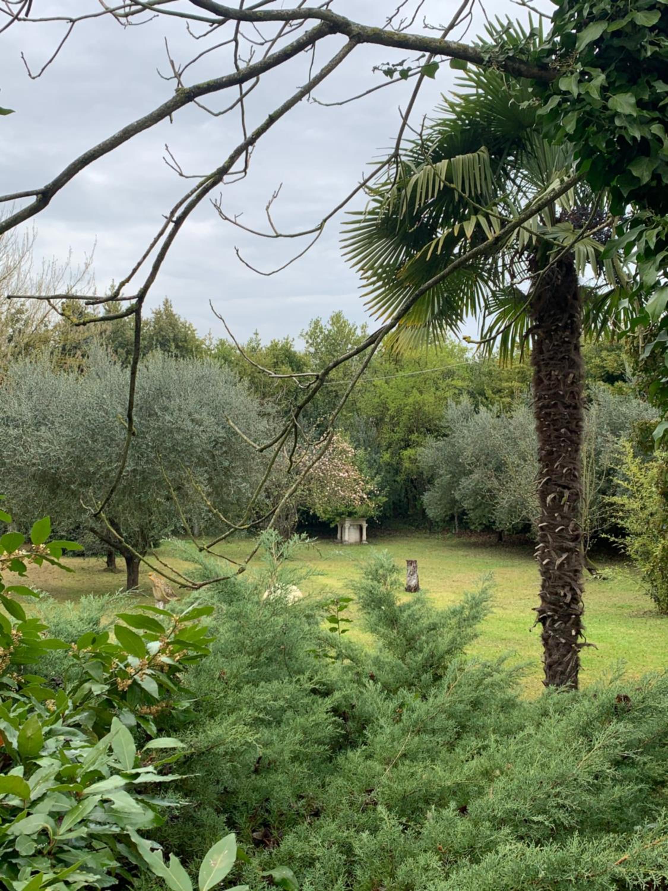 Villa San Pietro view 5
