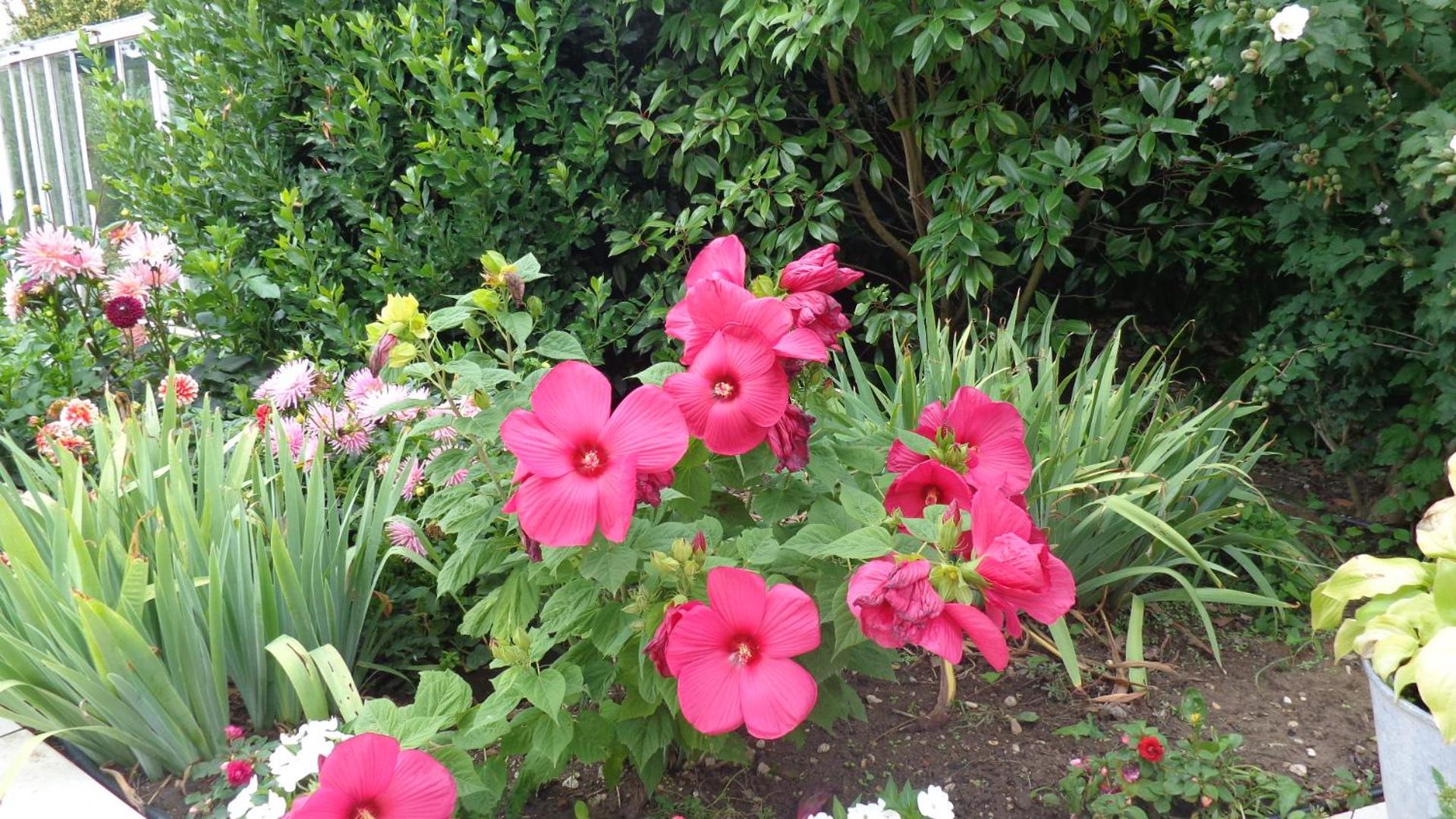 Photo 25