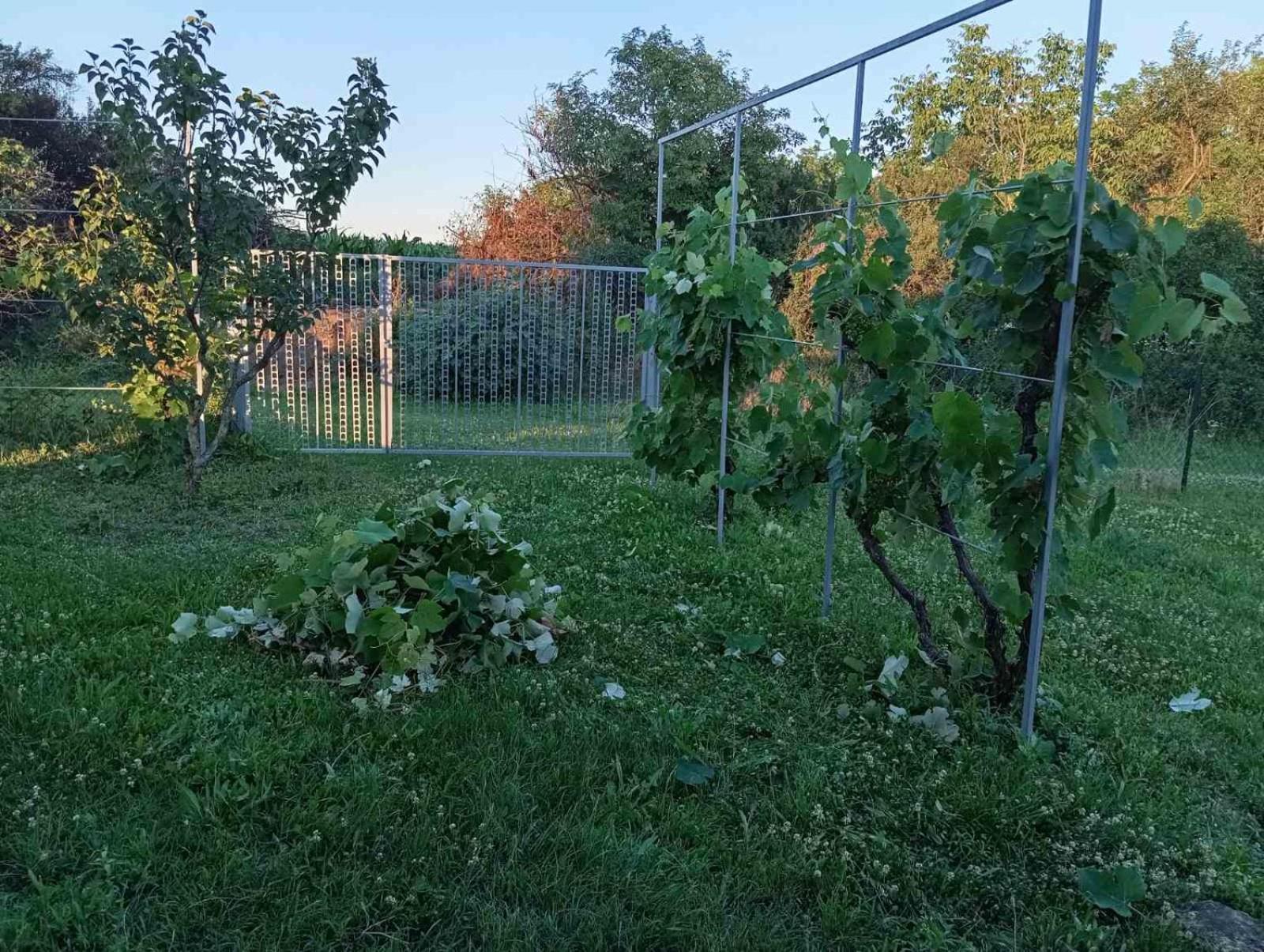 Kuća za odmor Fruška gora view 5