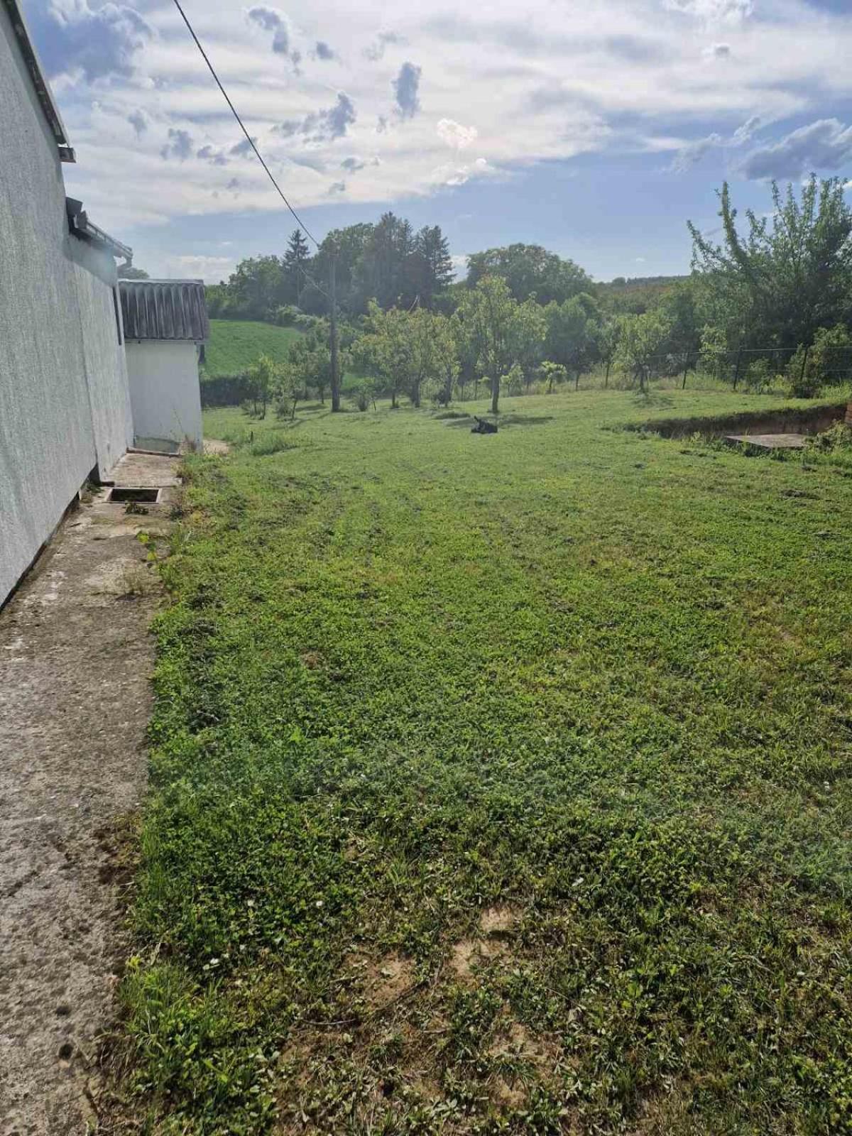 Kuća za odmor Fruška gora view 2
