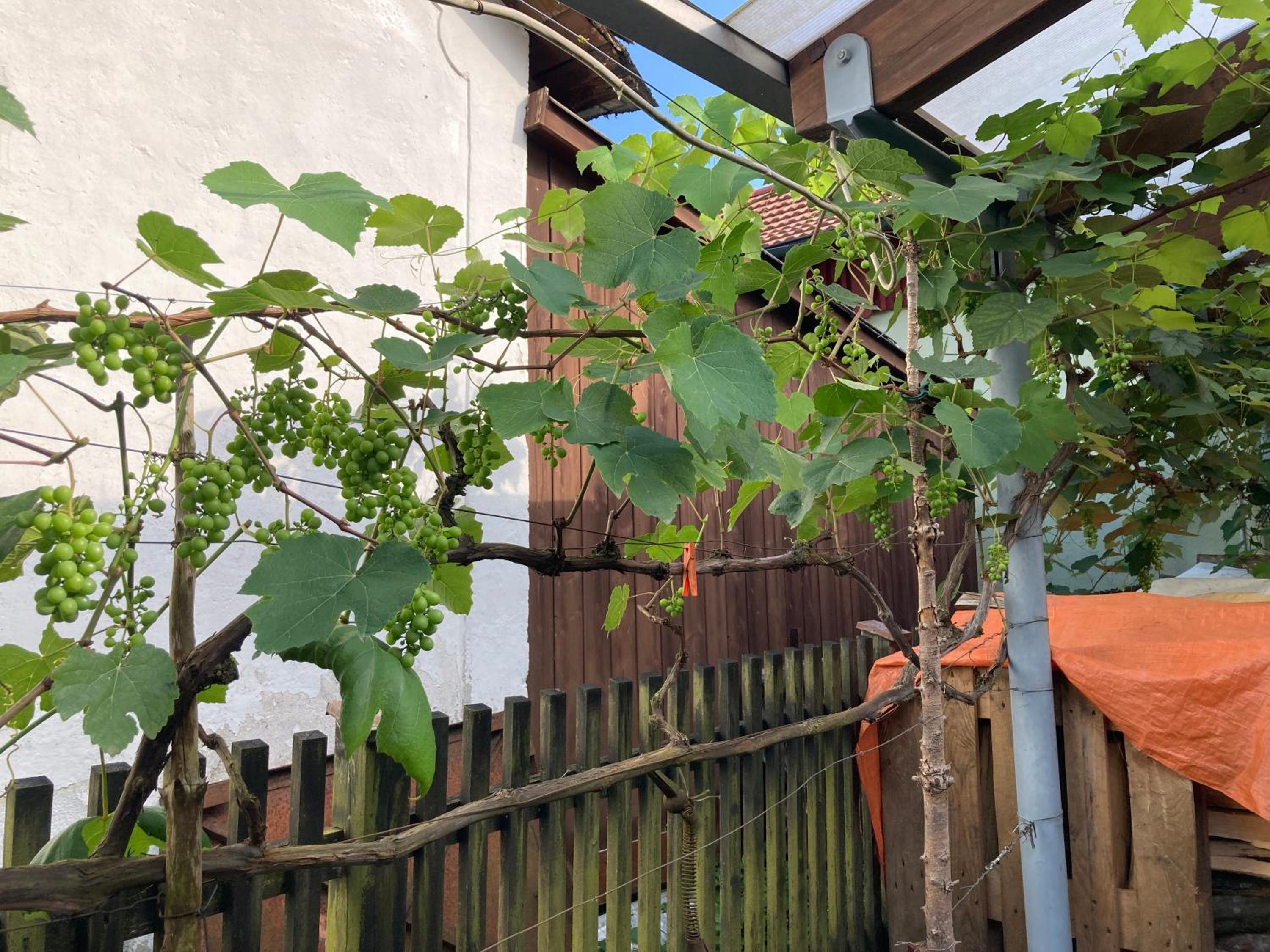 Ferienwohnung Schreiner