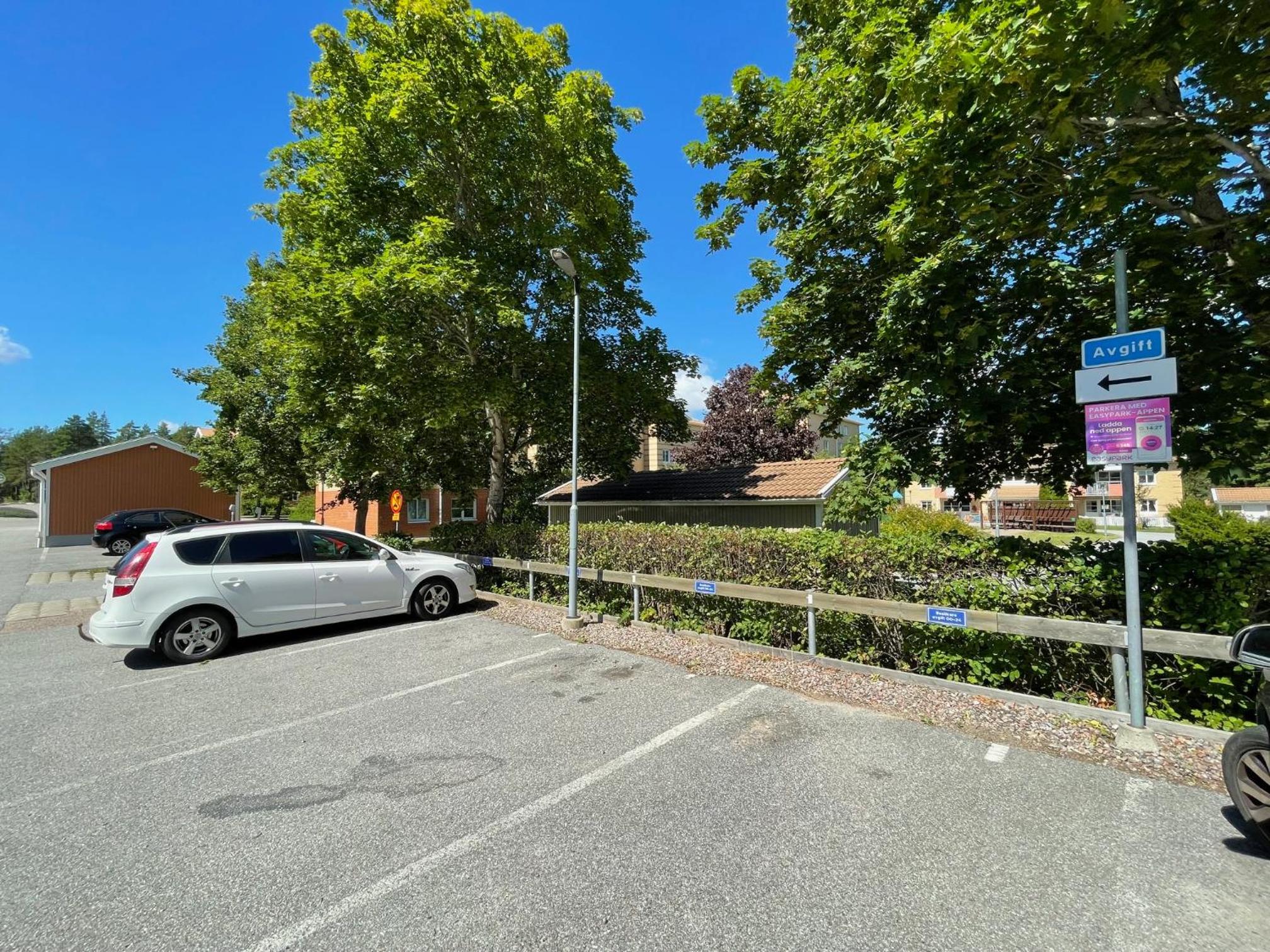 Photo 22