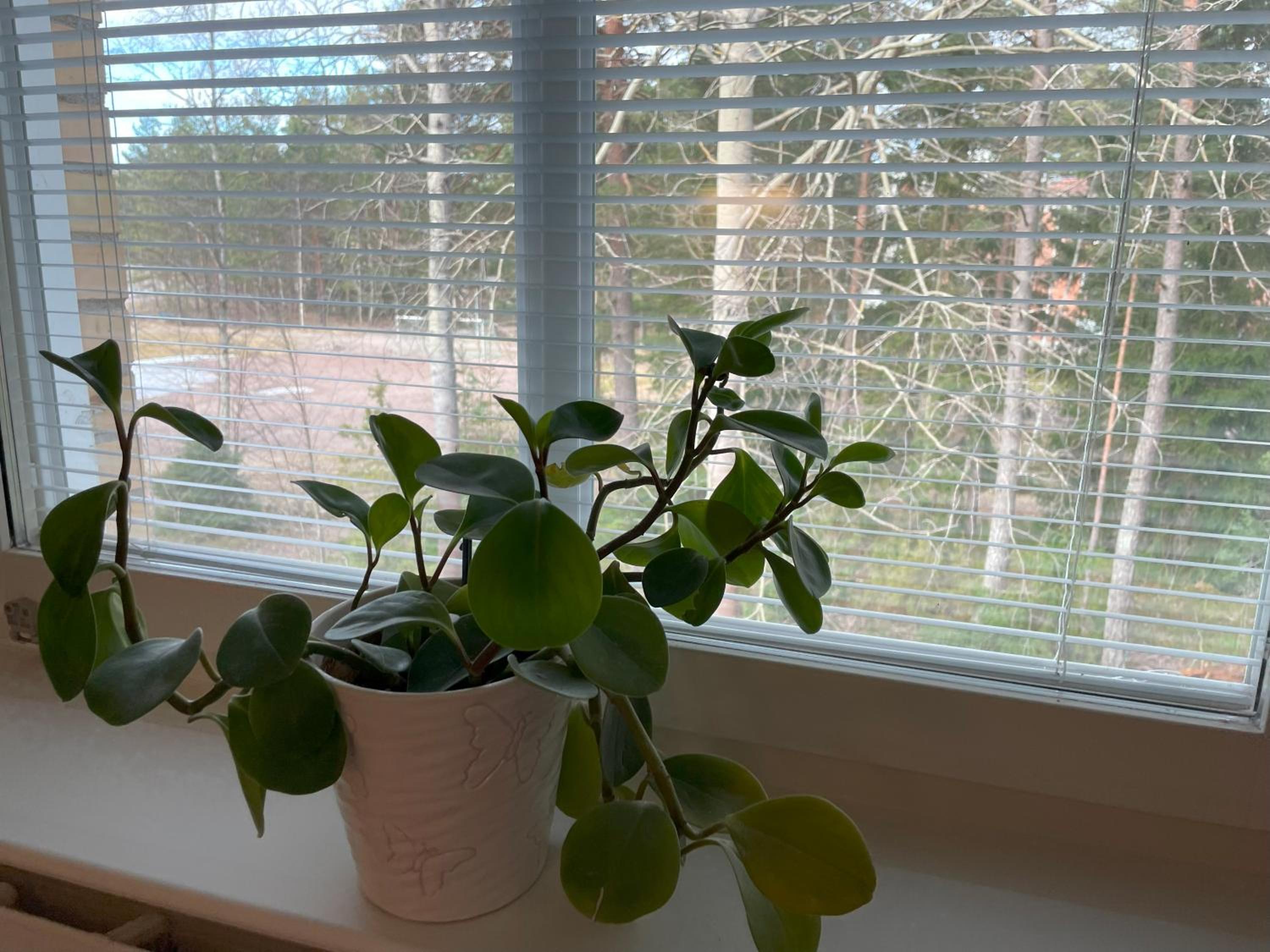 Apartment in Sävja with Modern Amenities view 4