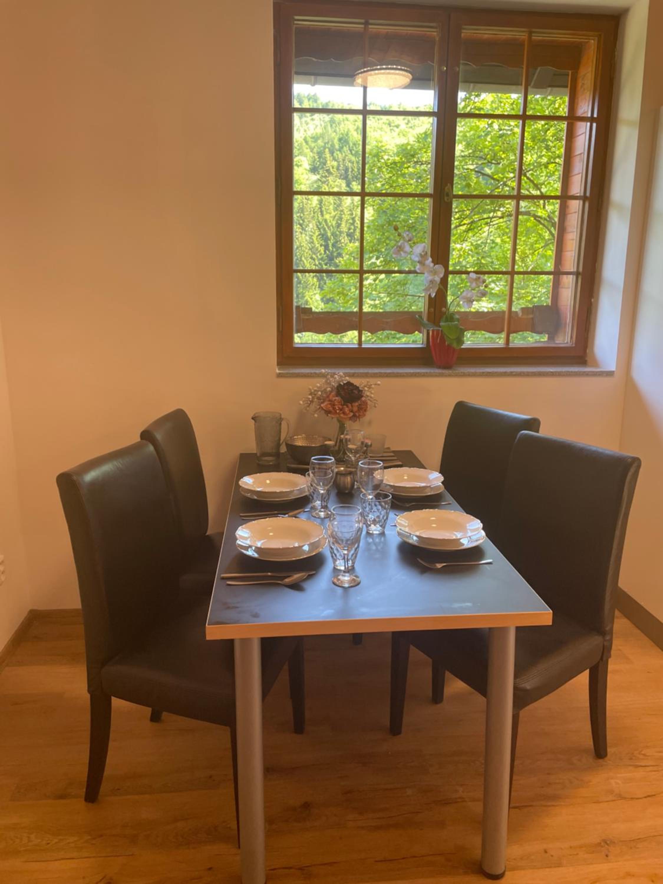 Apartmány Telnice - Medorhof