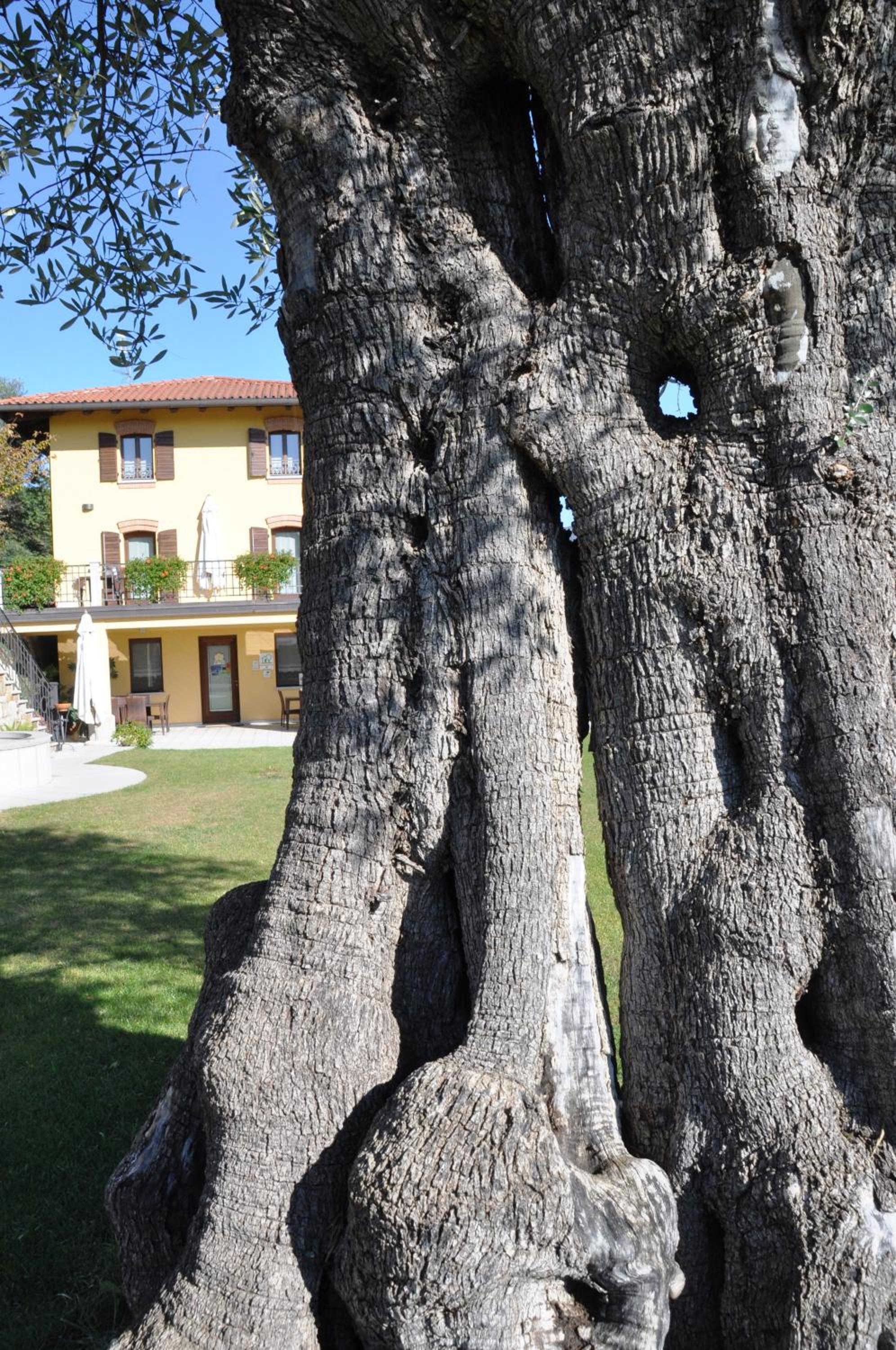 Il Roncal Wine Resort - for Wine Lovers