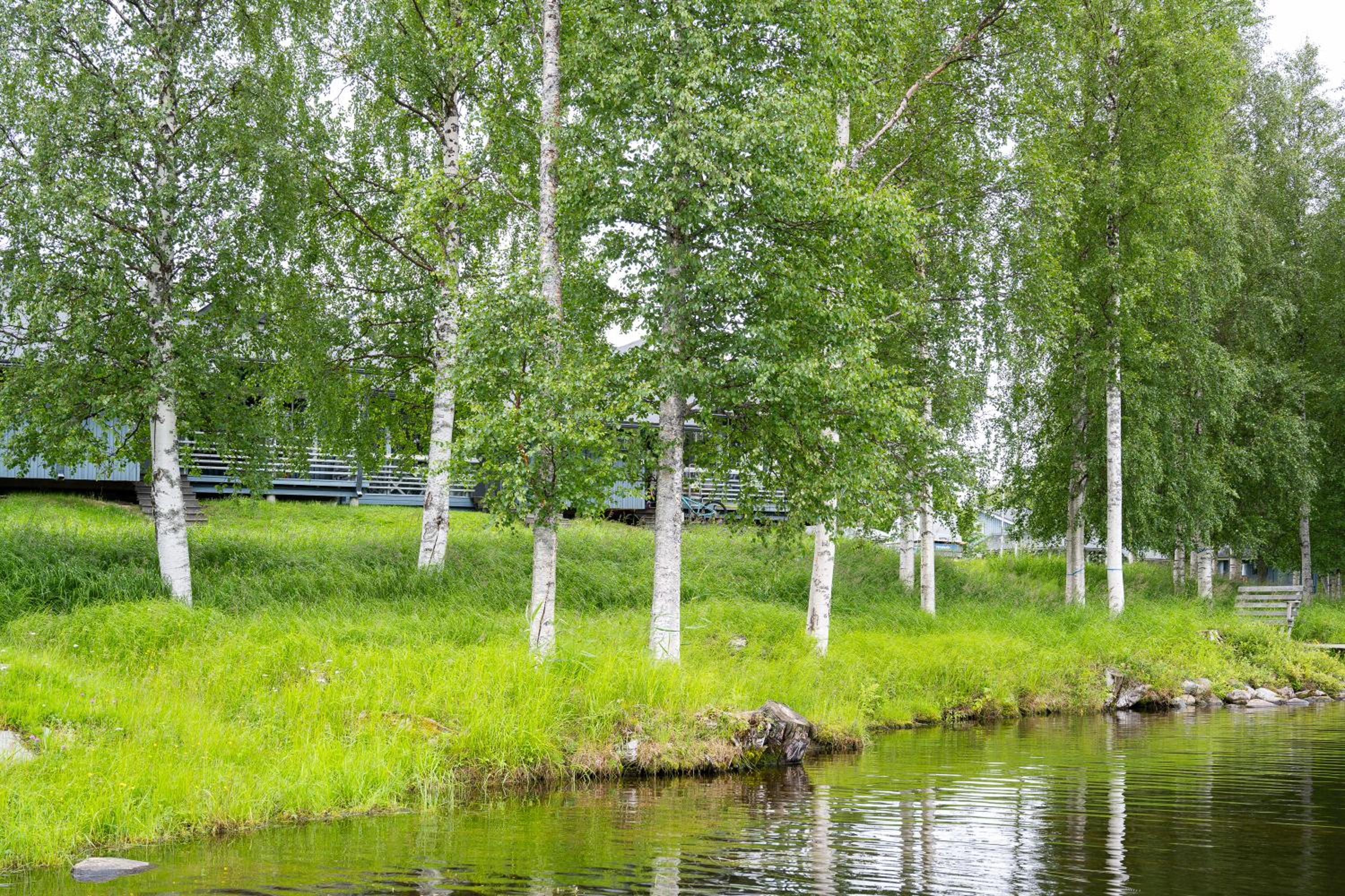 Talvijärven Helmi