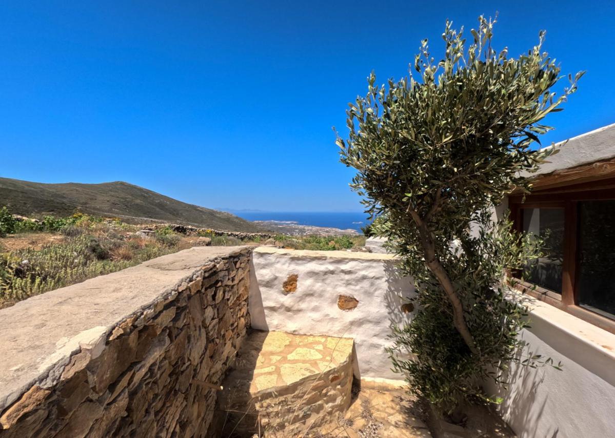 Villa Kostopoulos Studio Zeus photo 5