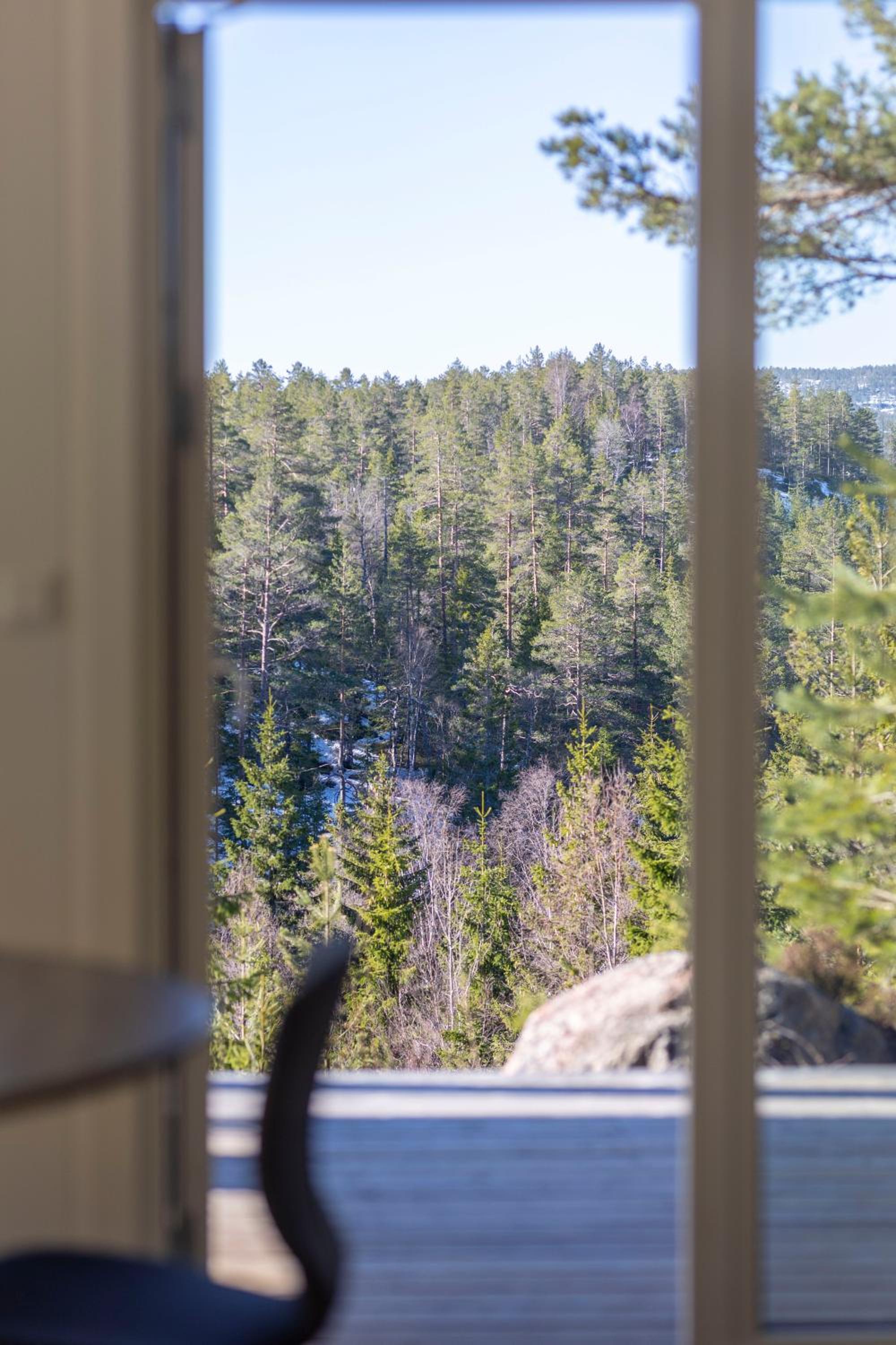 Bjønntjønn 229 view 2
