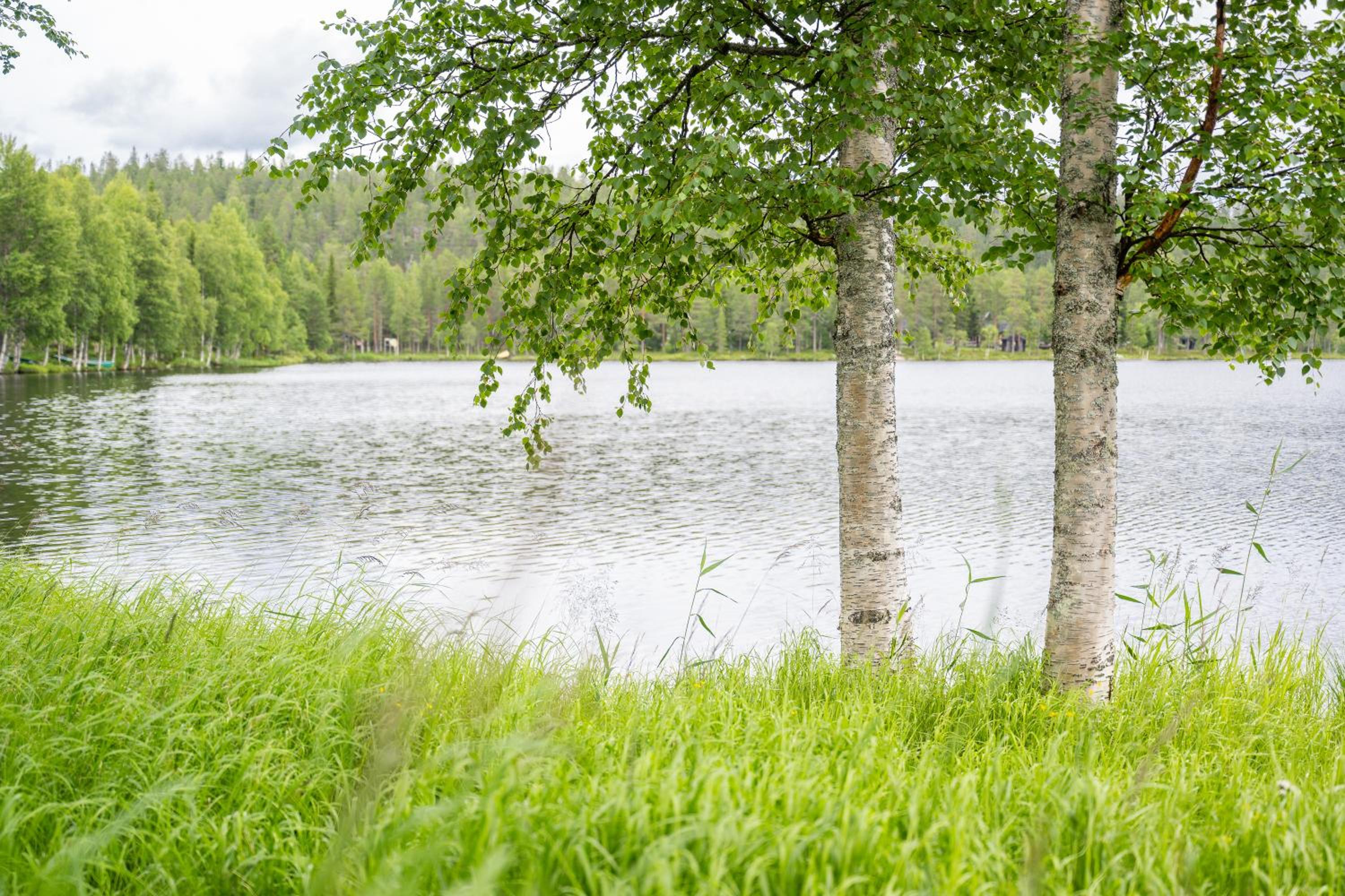 Talvijärven Helmi