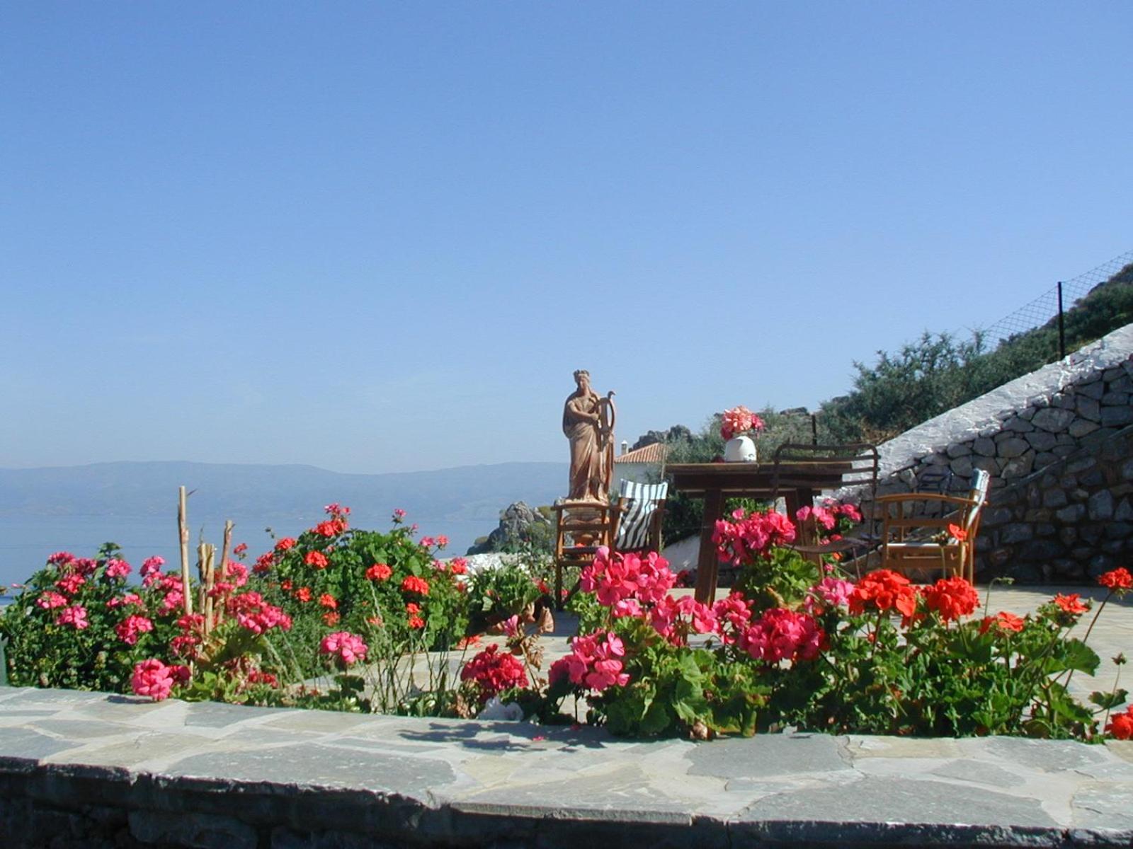 Hydra Erato view 3